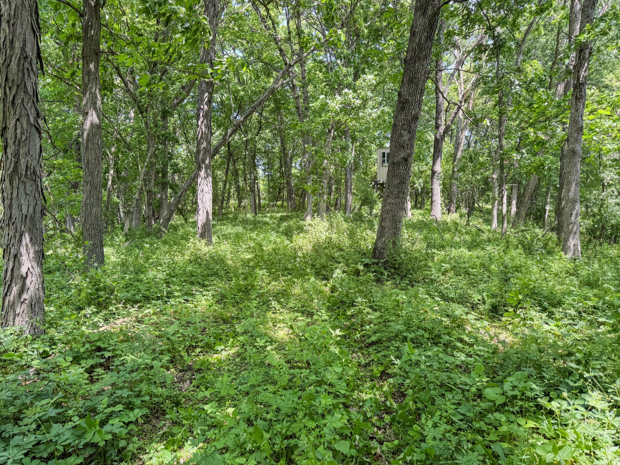 00 Dopp Property Photo 33