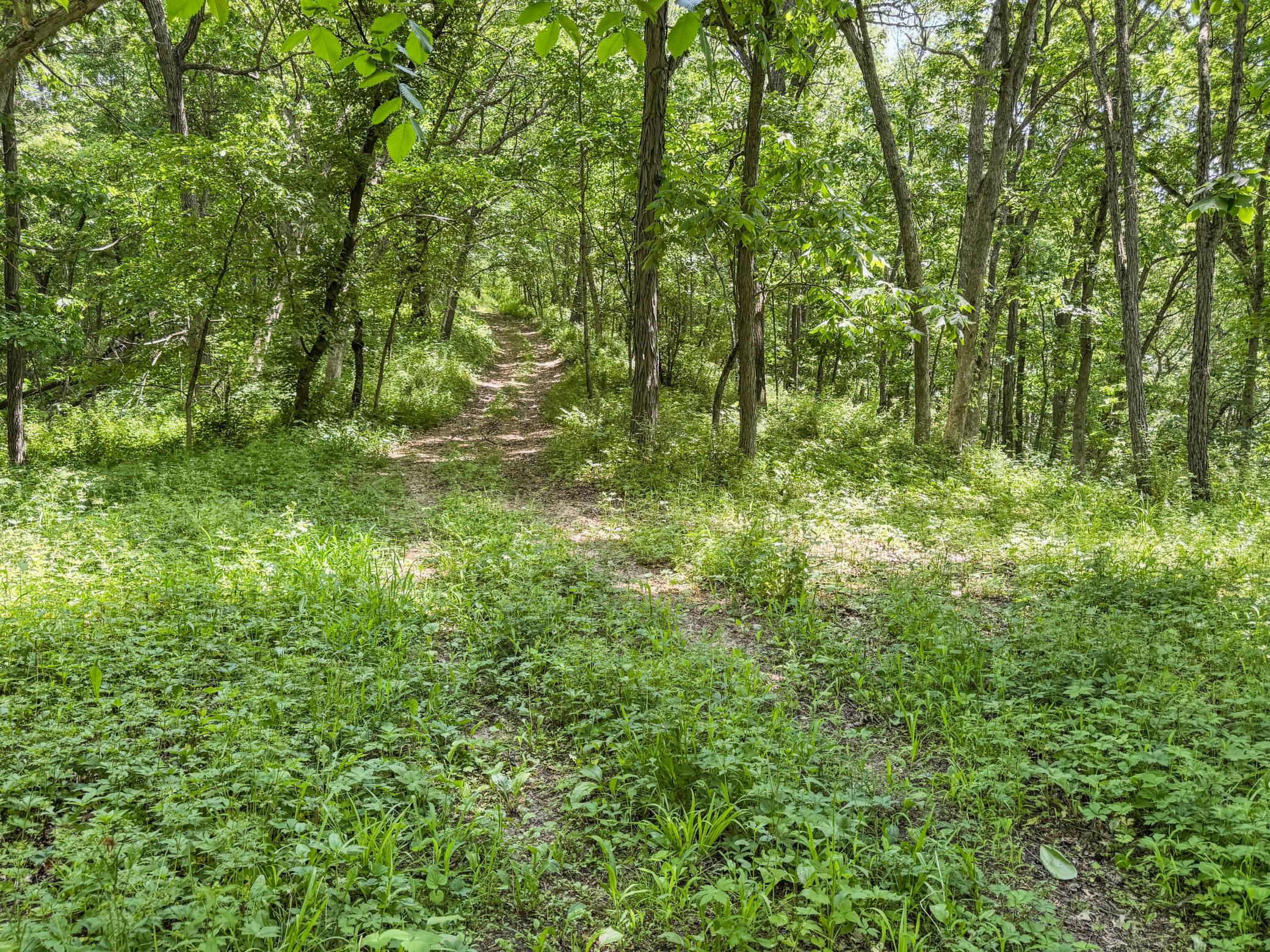 00 Dopp Property Photo 34