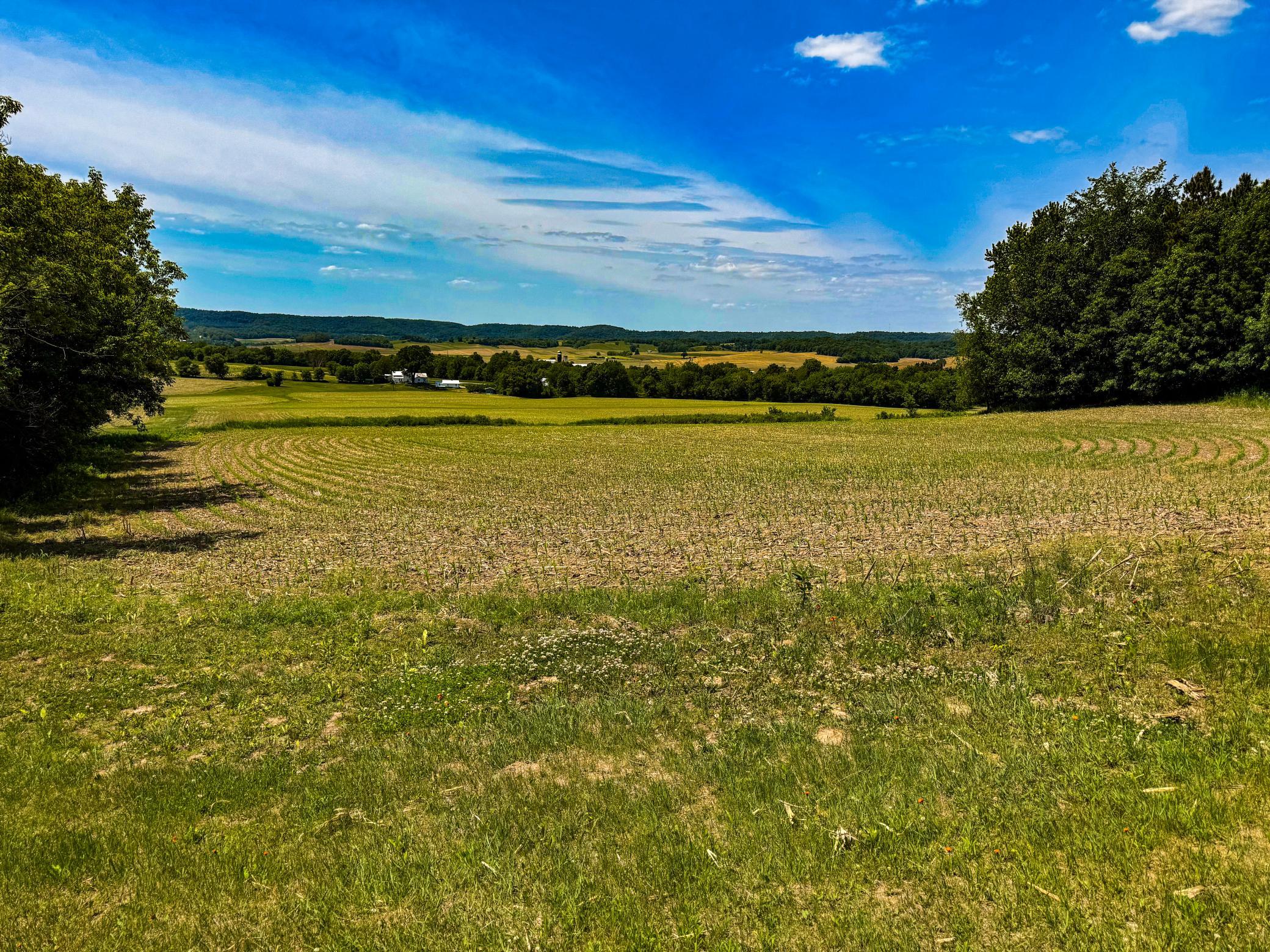 00 Dopp Property Photo 36