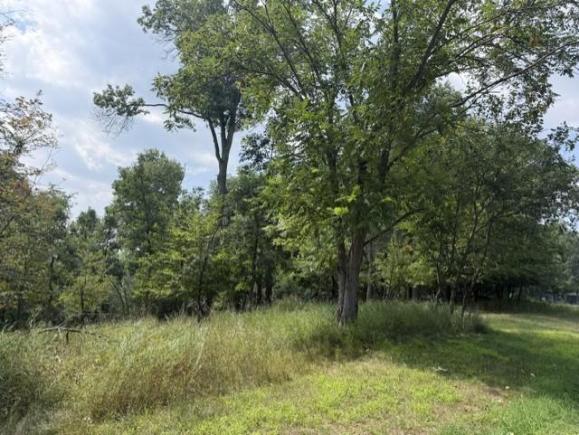Tbd Breezy Point Boulevard Property Photo 3