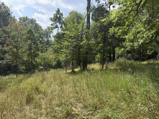 Tbd Breezy Point Boulevard Property Photo 4