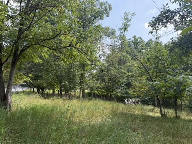 Tbd Breezy Point Boulevard Property Photo 6