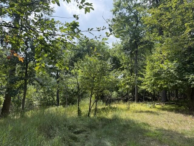 Tbd Breezy Point Boulevard Property Photo 8