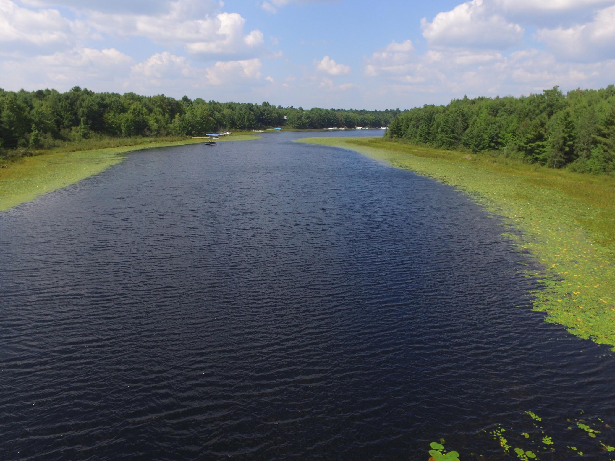 4646 Whitetail Path Property Photo 6