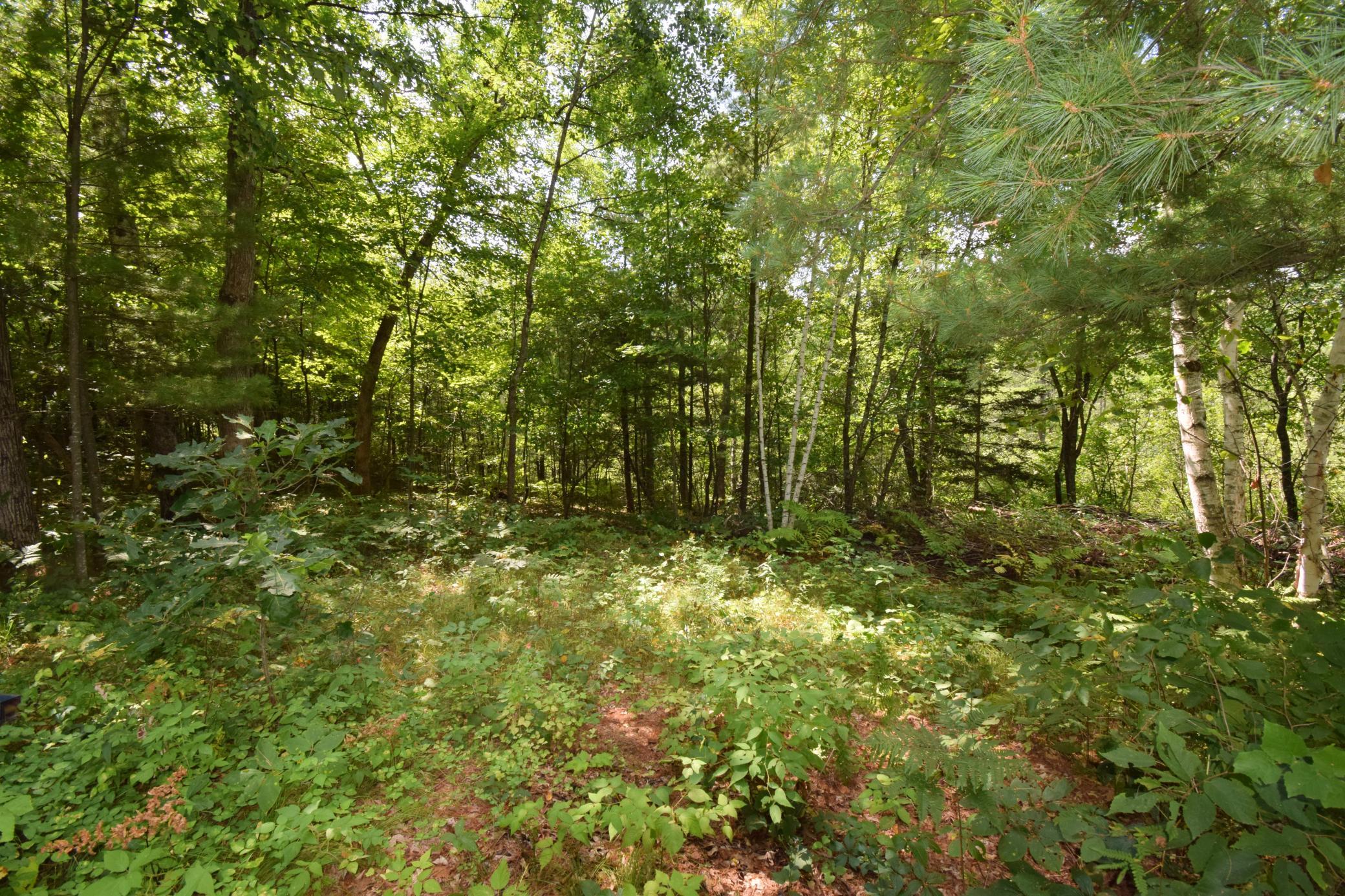 4646 Whitetail Path Property Photo 30