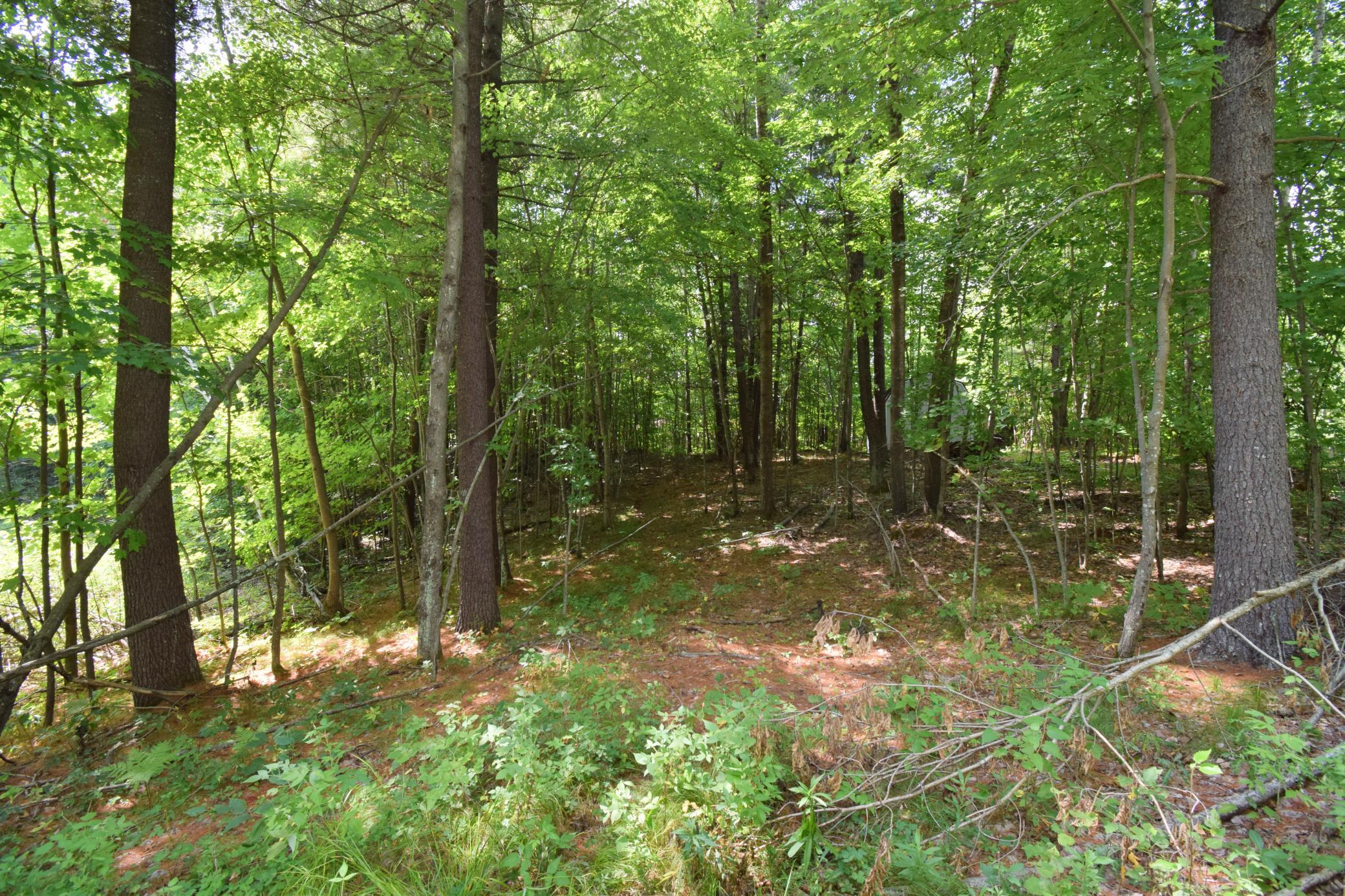4646 Whitetail Path Property Photo 44