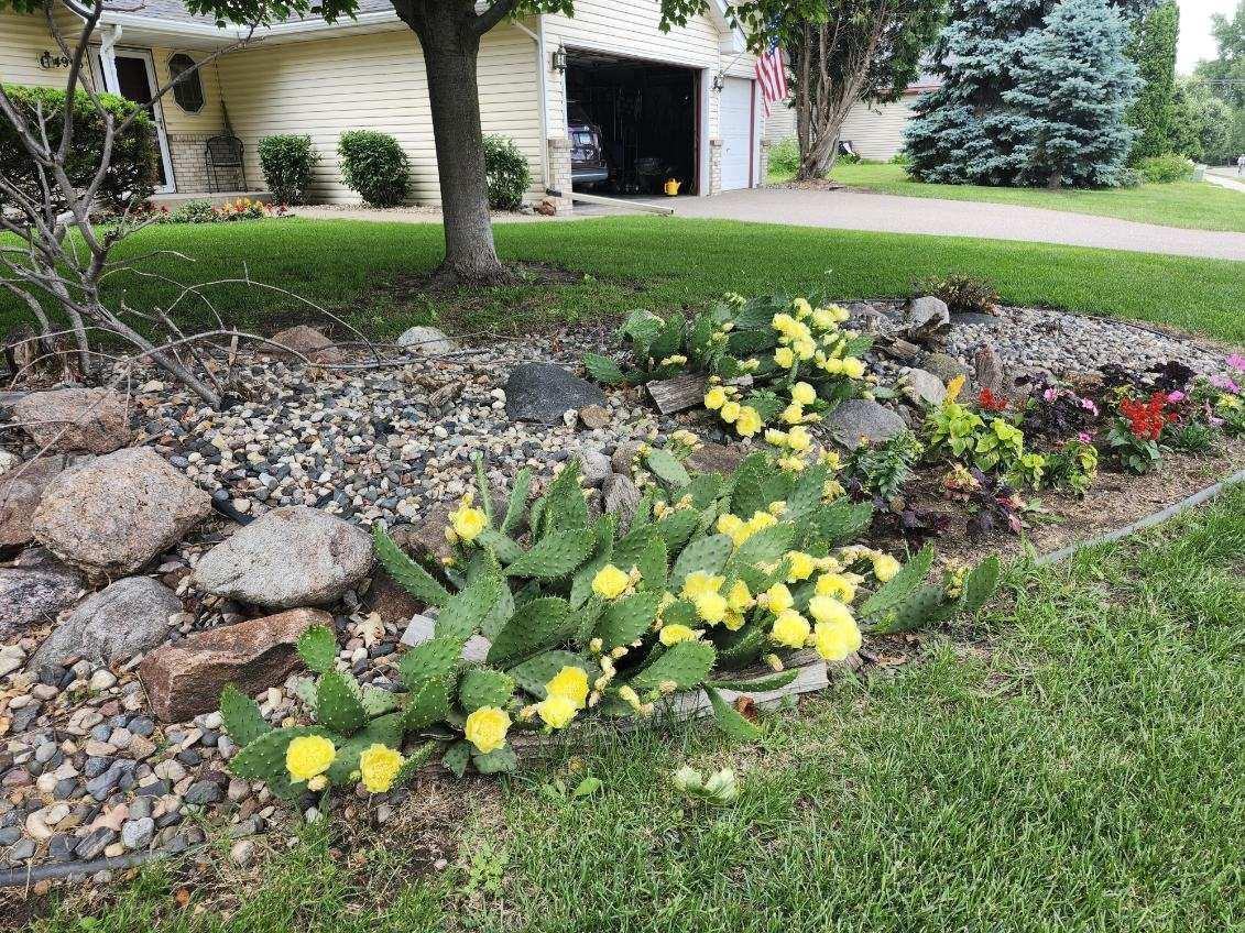 4916 Helmo Avenue N Property Photo 48