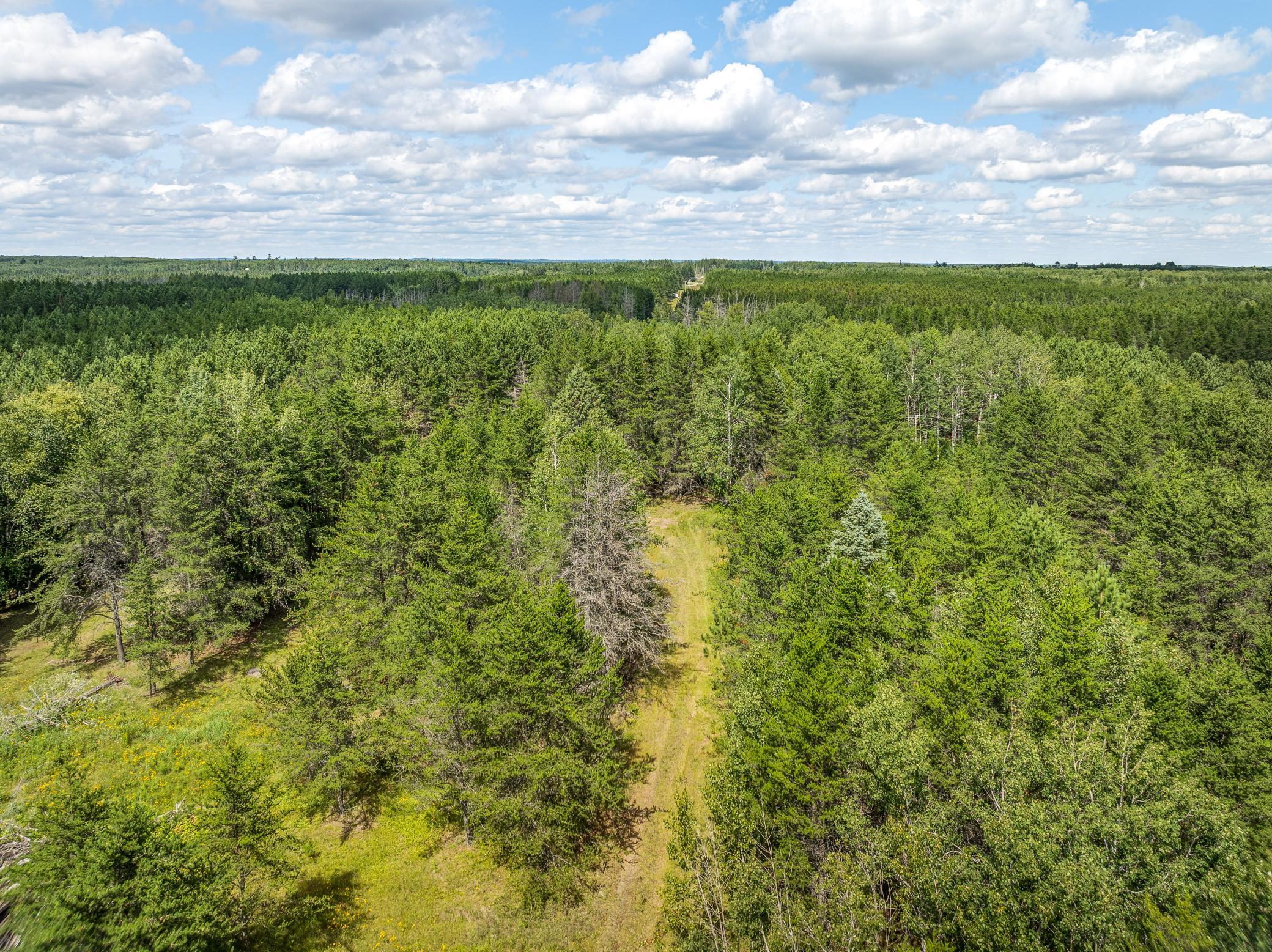Tract A Highway 21 Property Photo 9