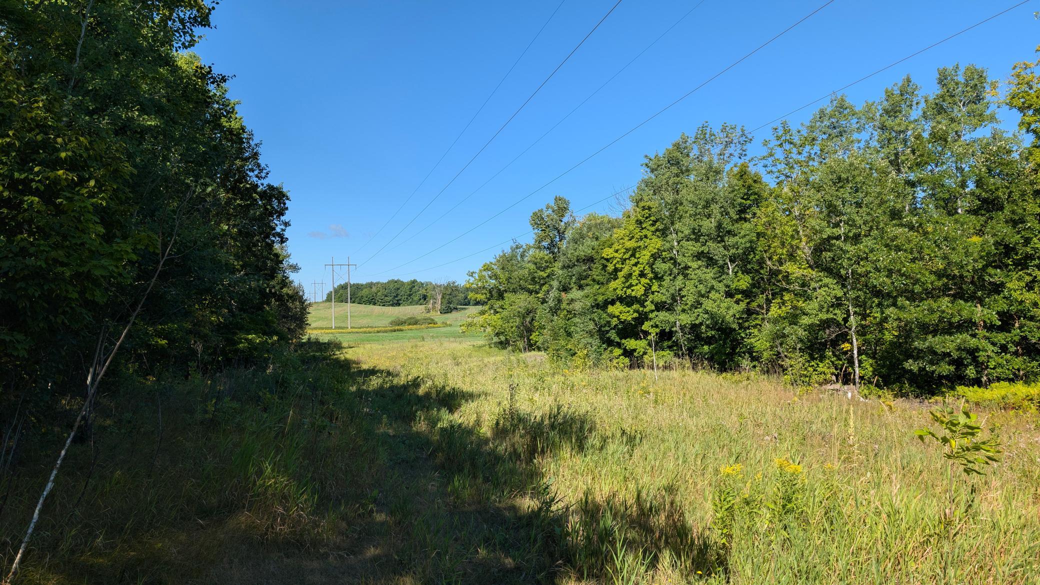15890 390th Street Property Photo 46
