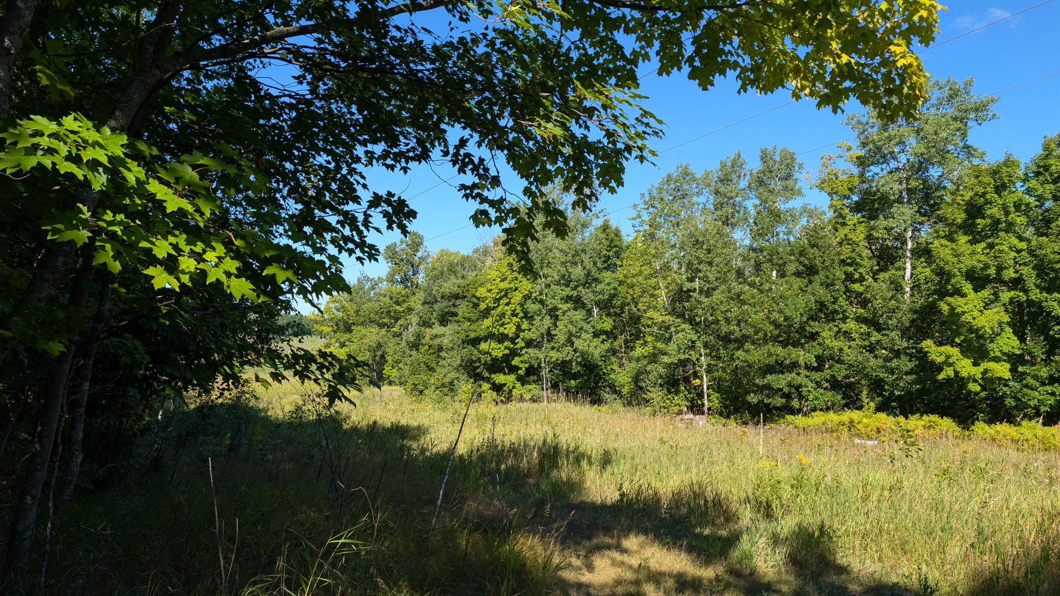 15890 390th Street Property Photo 49