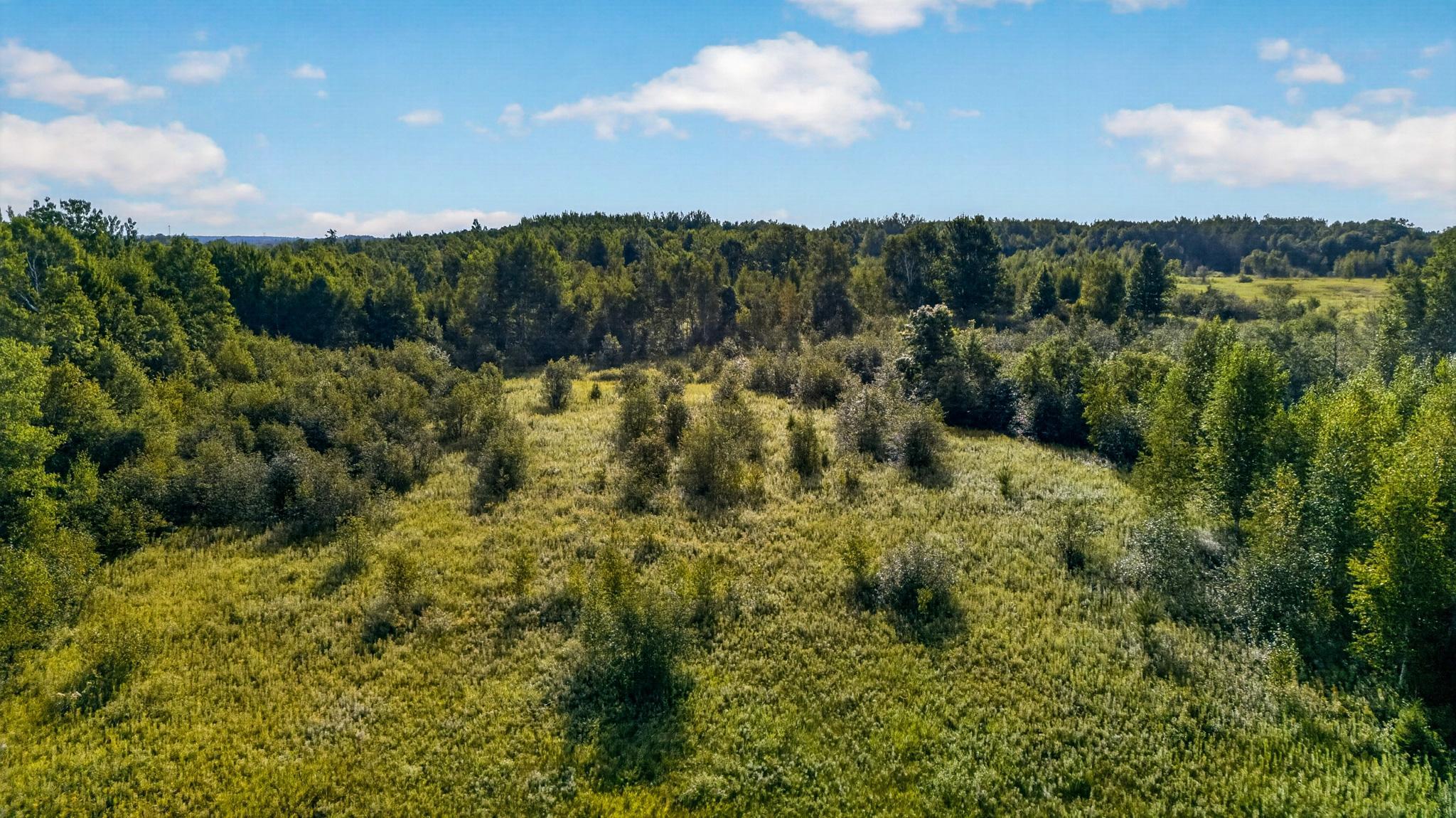 Tbd (parcel C) Olson Road Property Photo 7