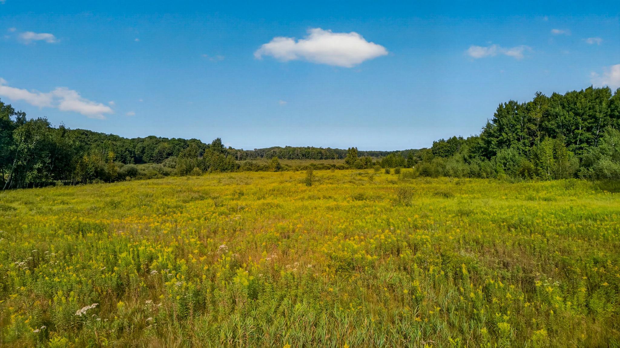Tbd (parcel C) Olson Road Property Photo 8