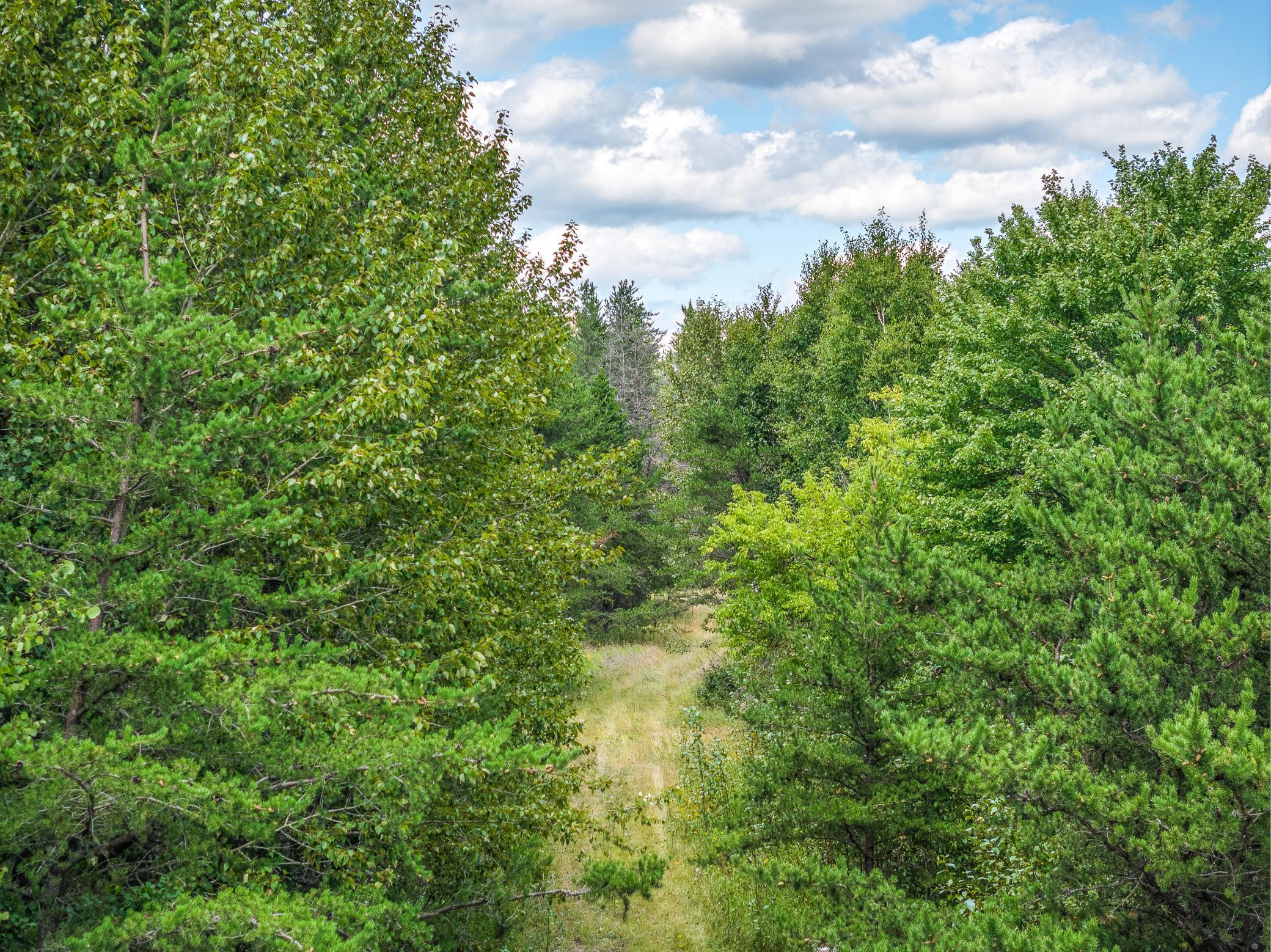 Tract B Highway 21 Property Photo 1