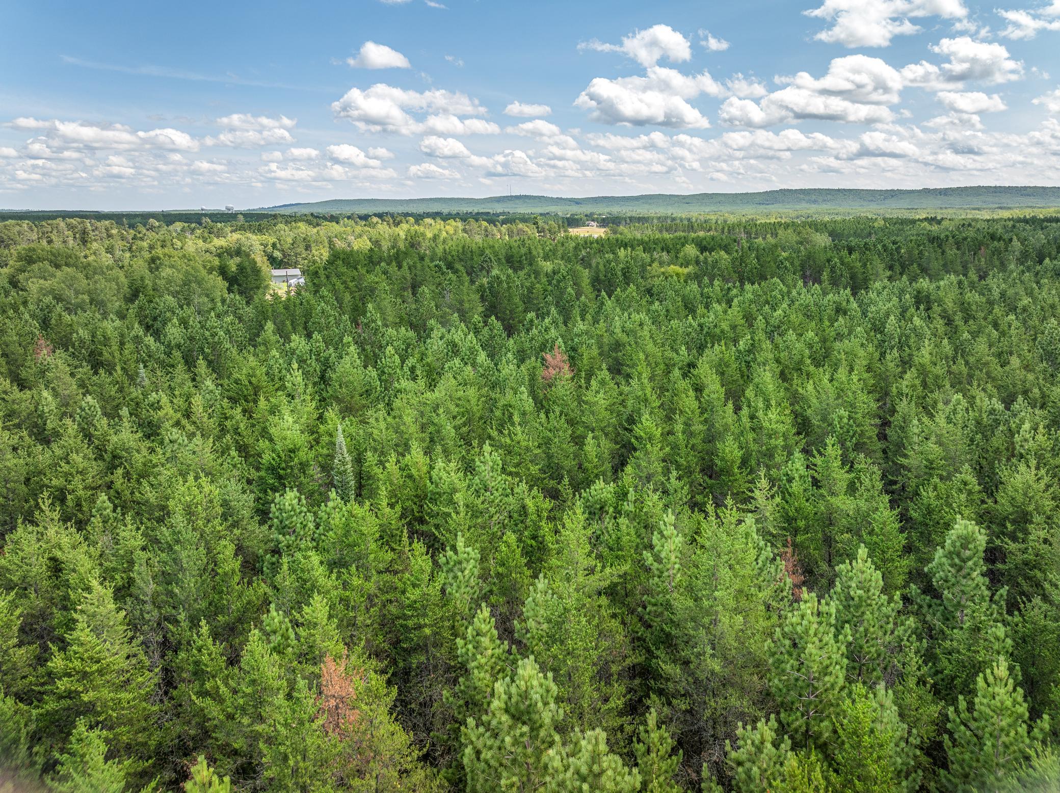 Tract B Highway 21 Property Photo 6