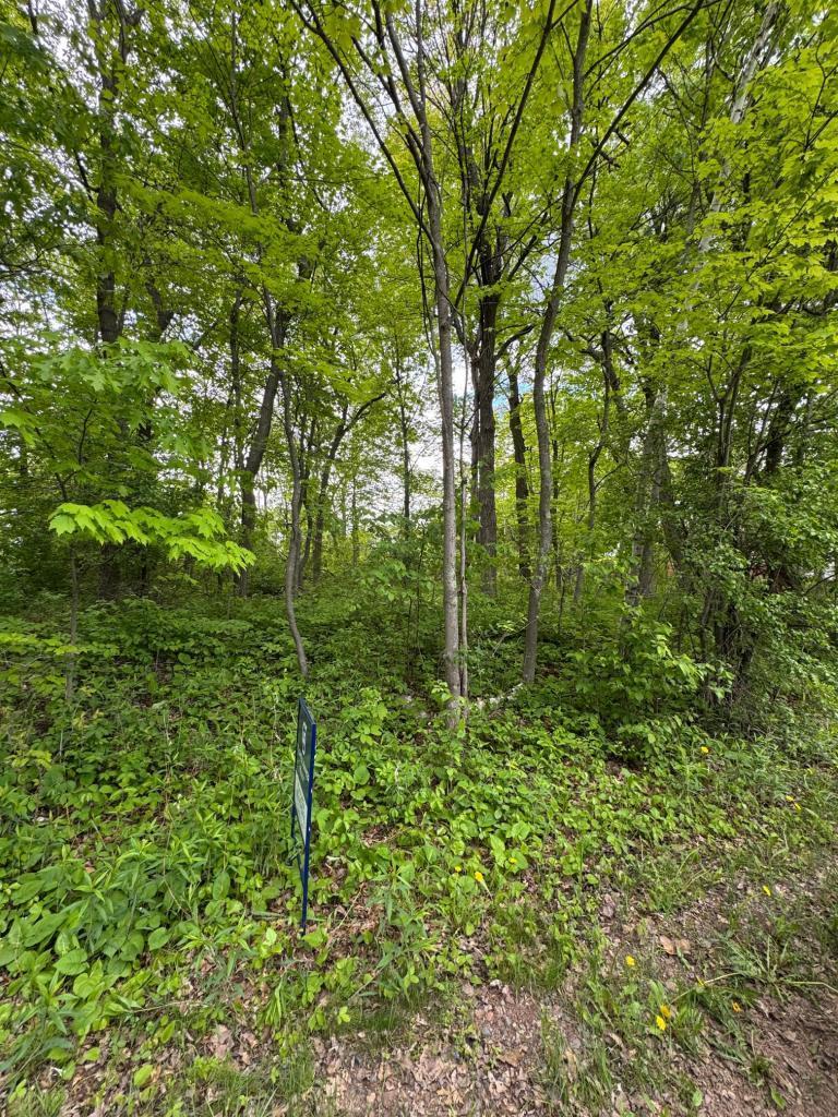 Xxxx 241st Avenue Ne Property Photo 1