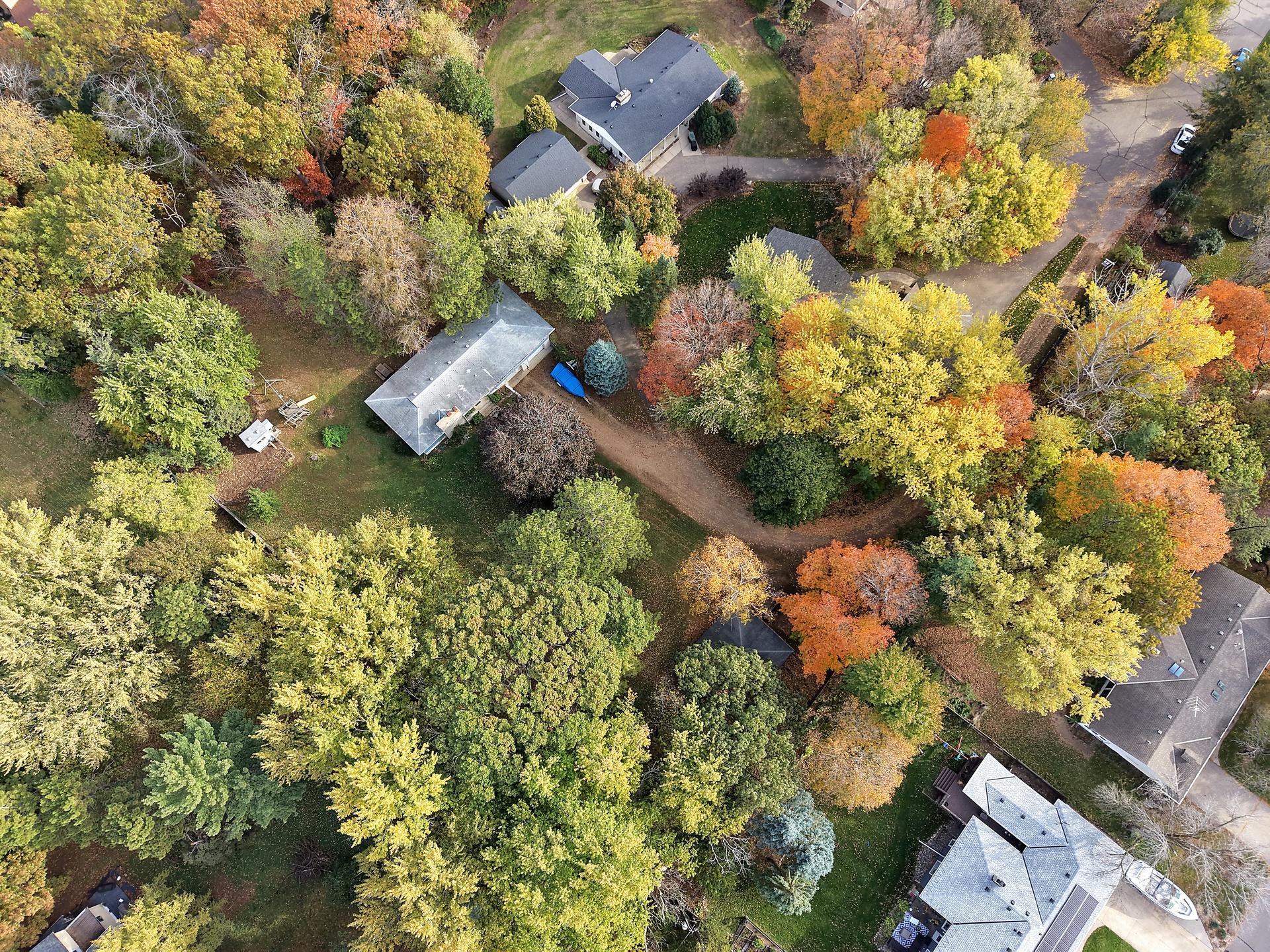 14616 Wildcrest Road Property Photo 4