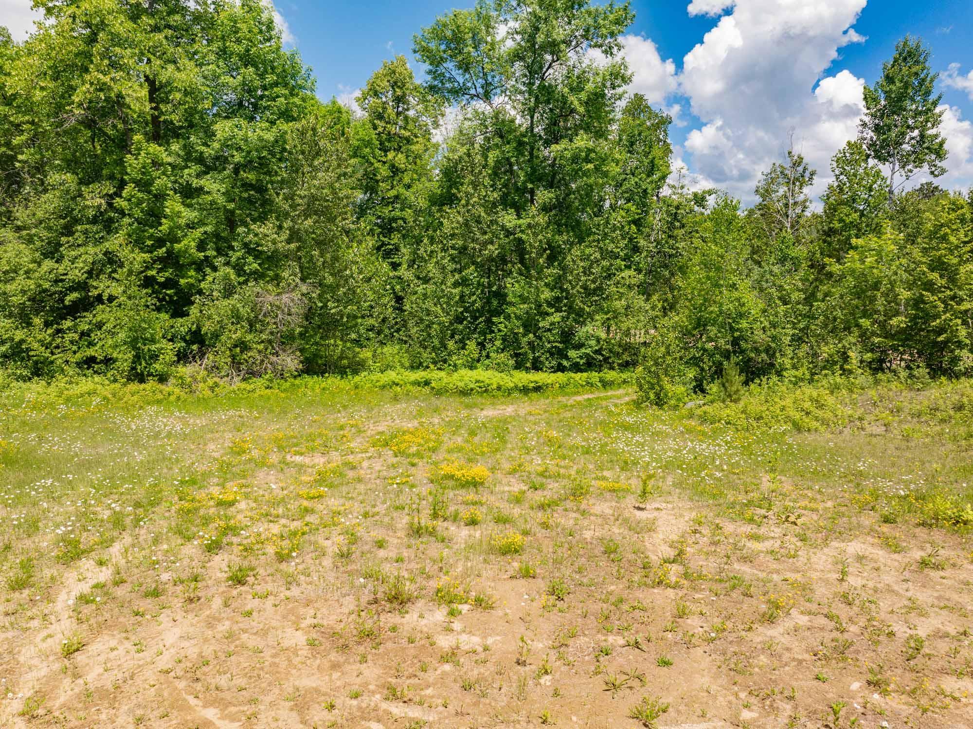 Tbd County Rd 238 Property Photo 8