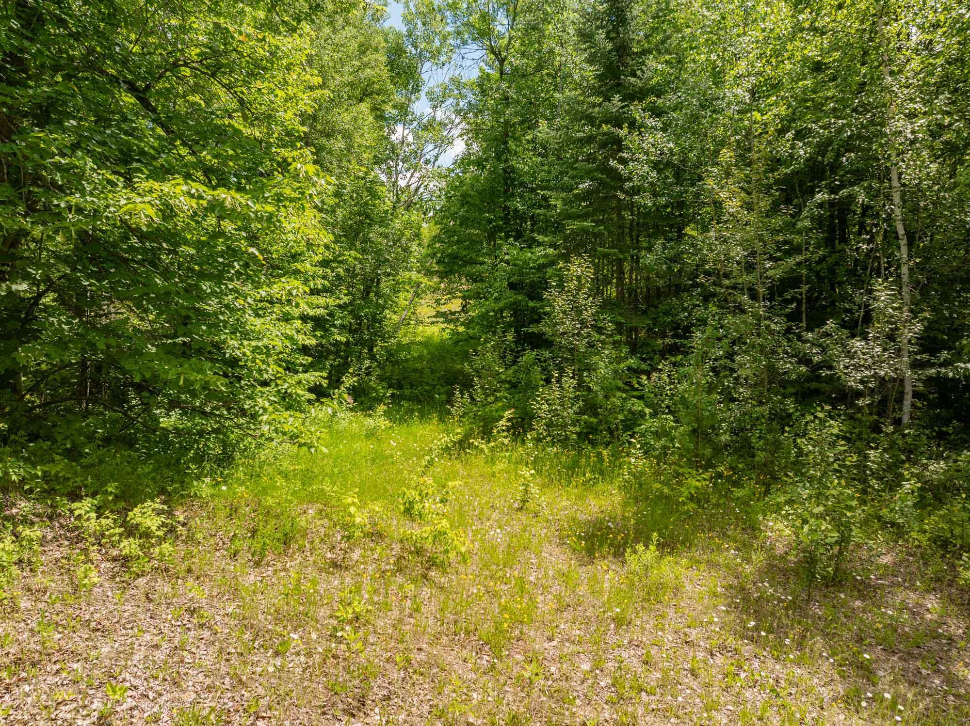 Tbd County Rd 238 Property Photo 11