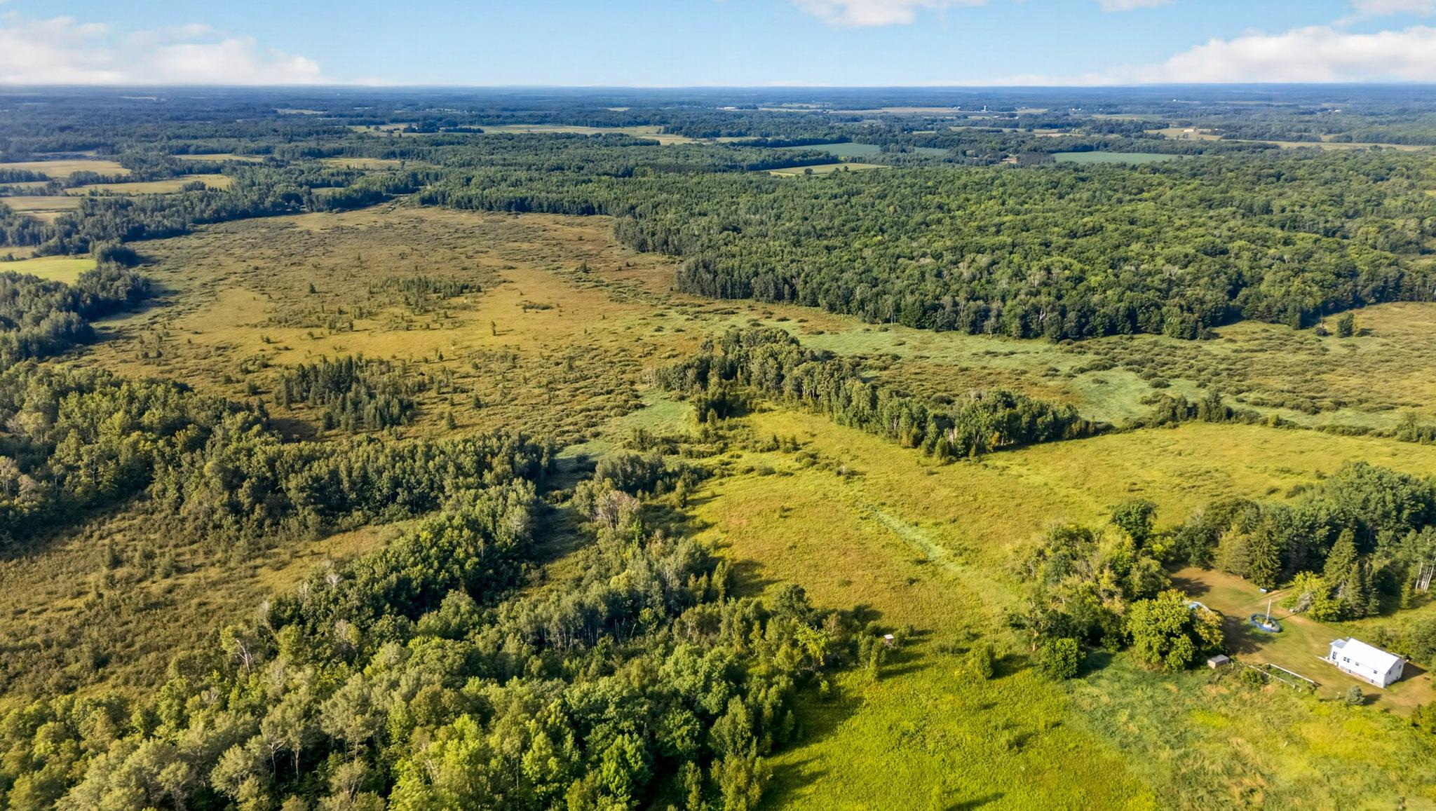 Tbd Olson Road Property Photo 8