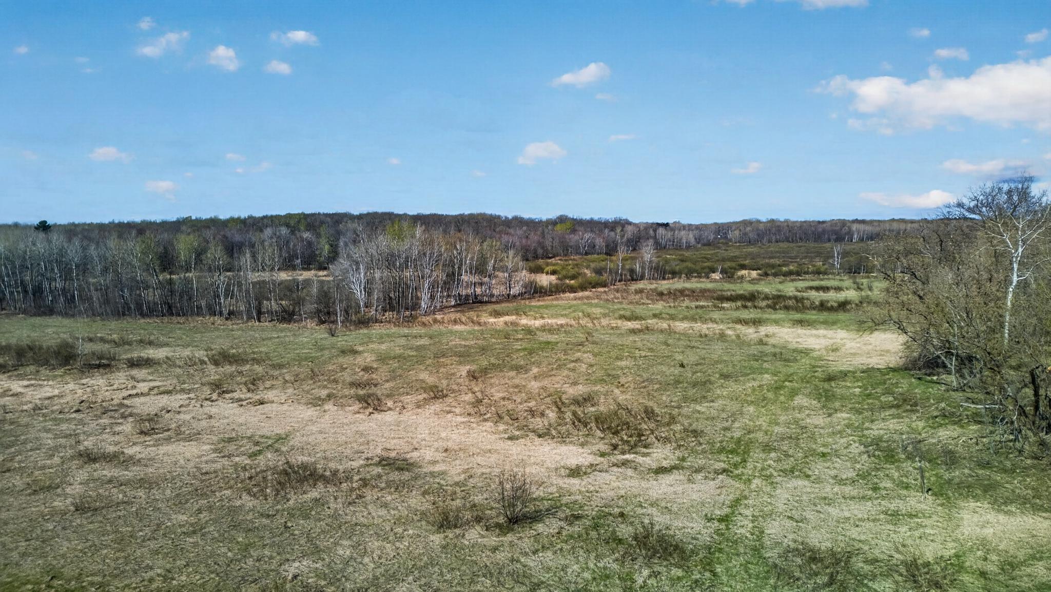 Tbd Olson Road Property Photo 10