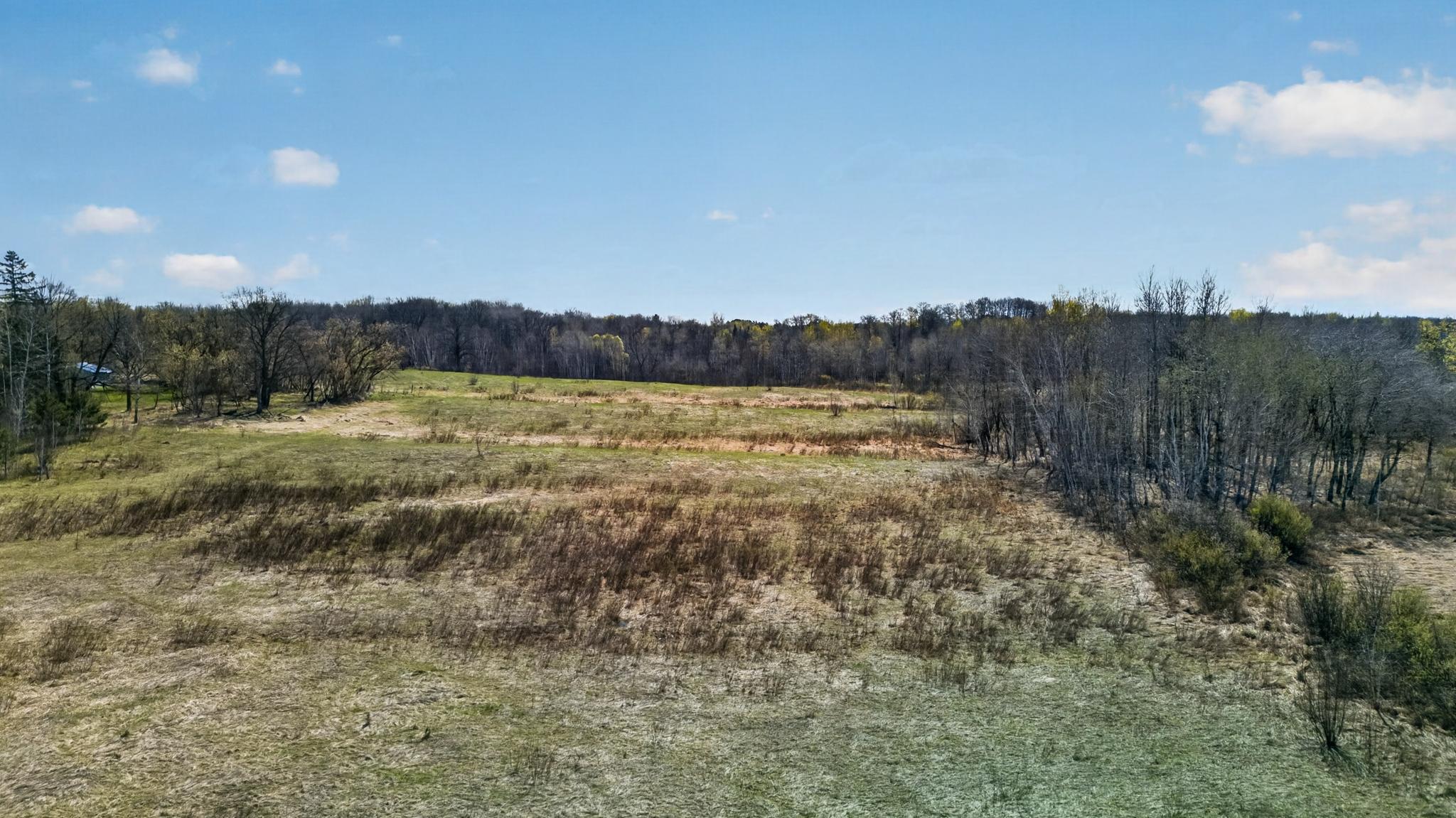 Tbd Olson Road Property Photo 12