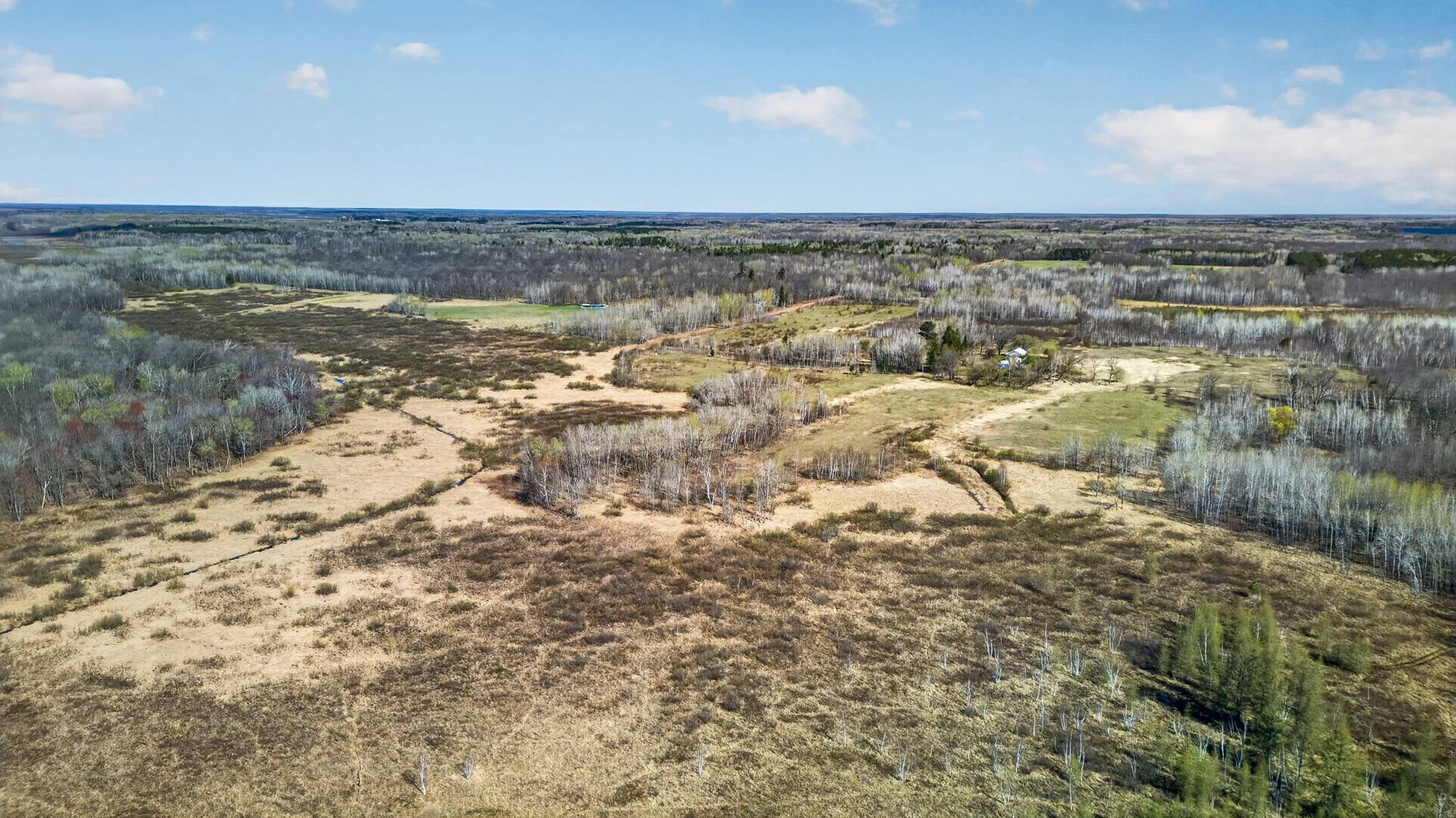 Tbd Olson Road Property Photo 15