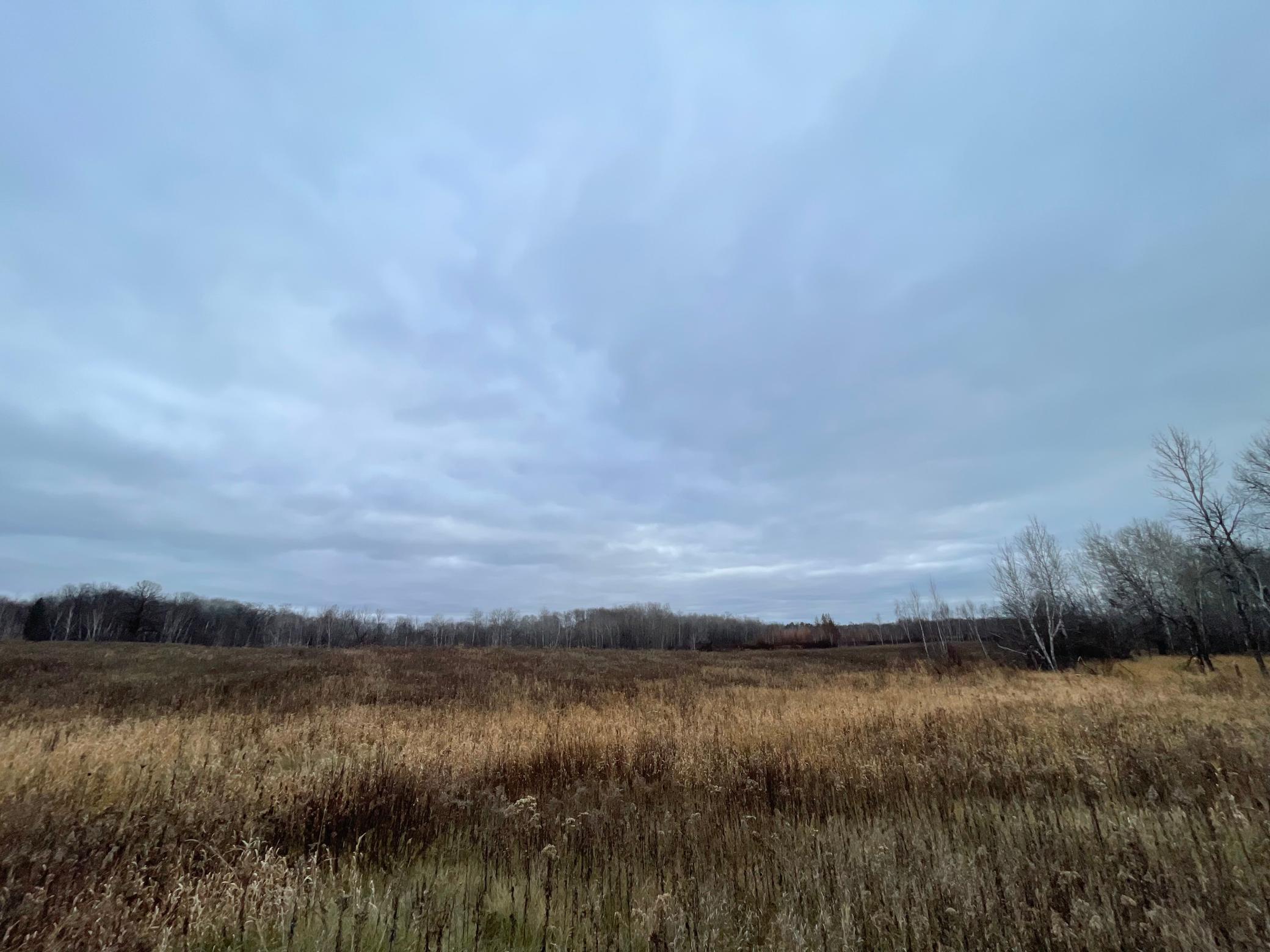 Tbd Olson Road Property Photo 20