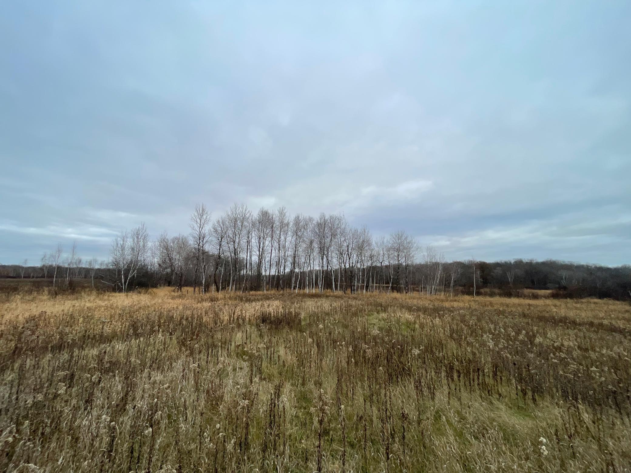 Tbd Olson Road Property Photo 21