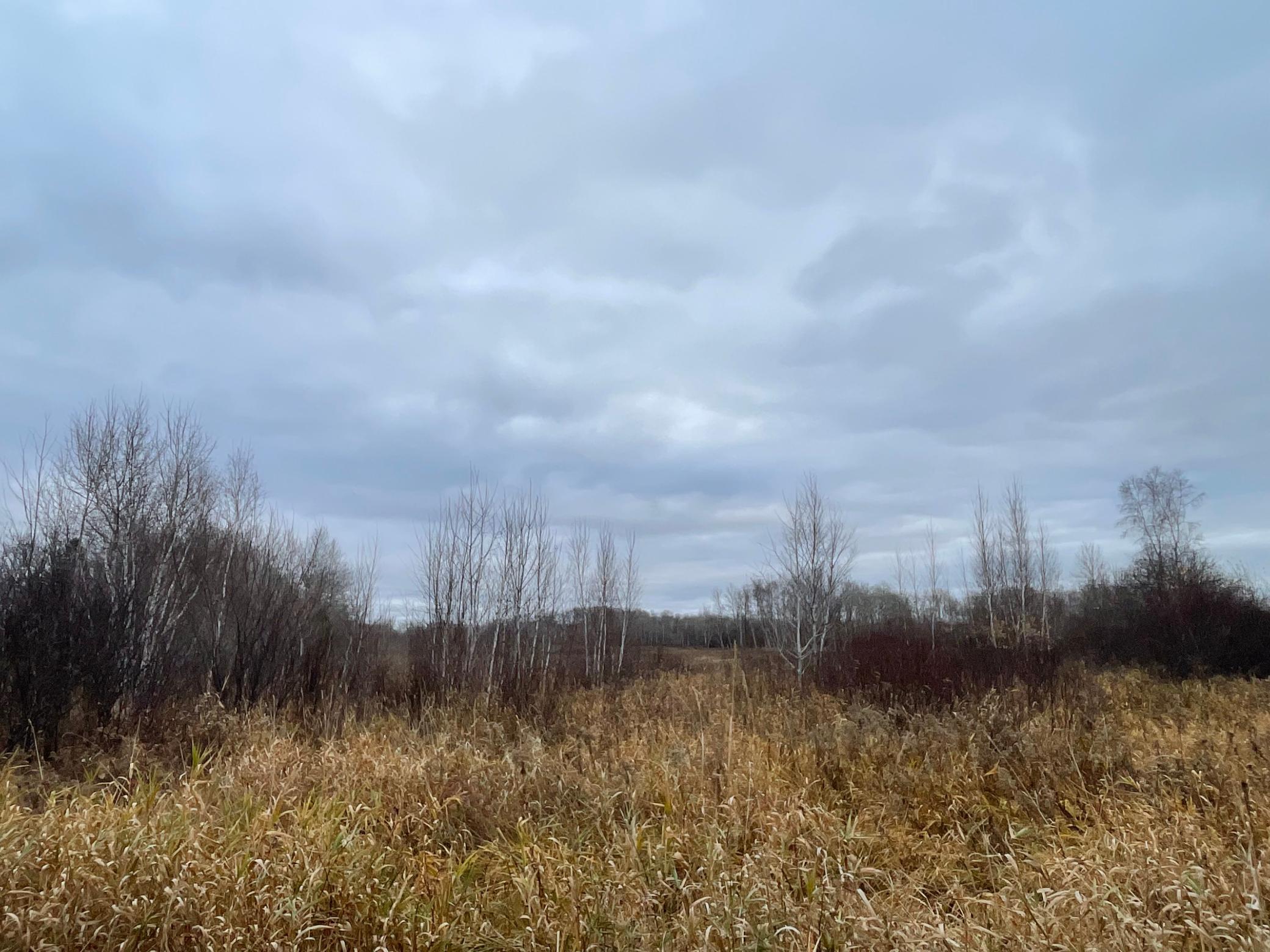 Tbd Olson Road Property Photo 22