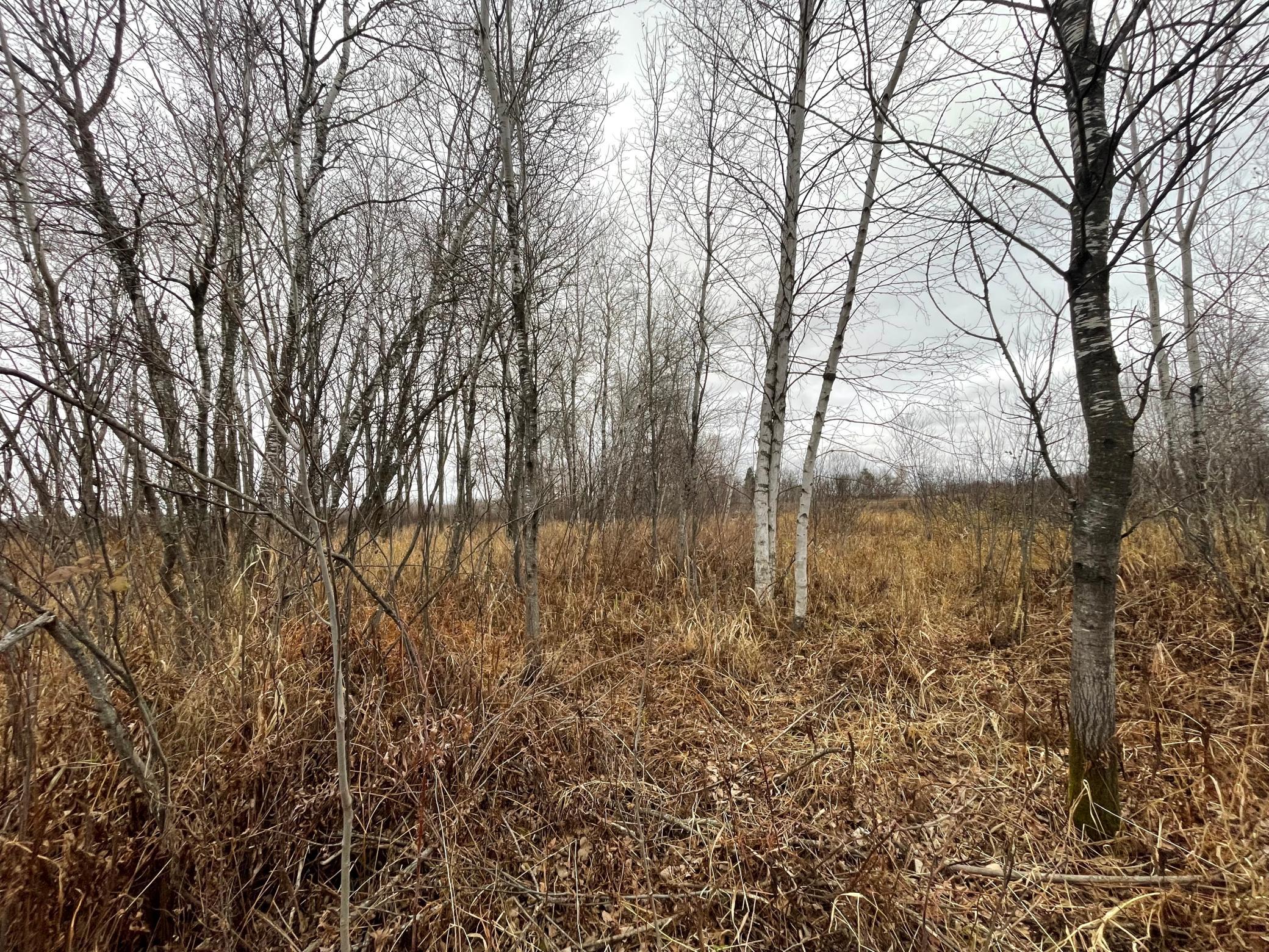 Tbd Olson Road Property Photo 23