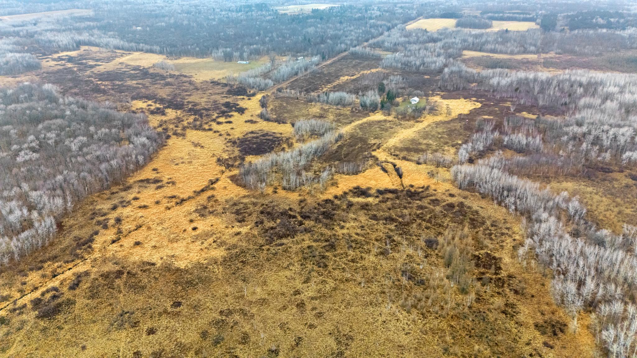 Tbd Olson Road Property Photo 24