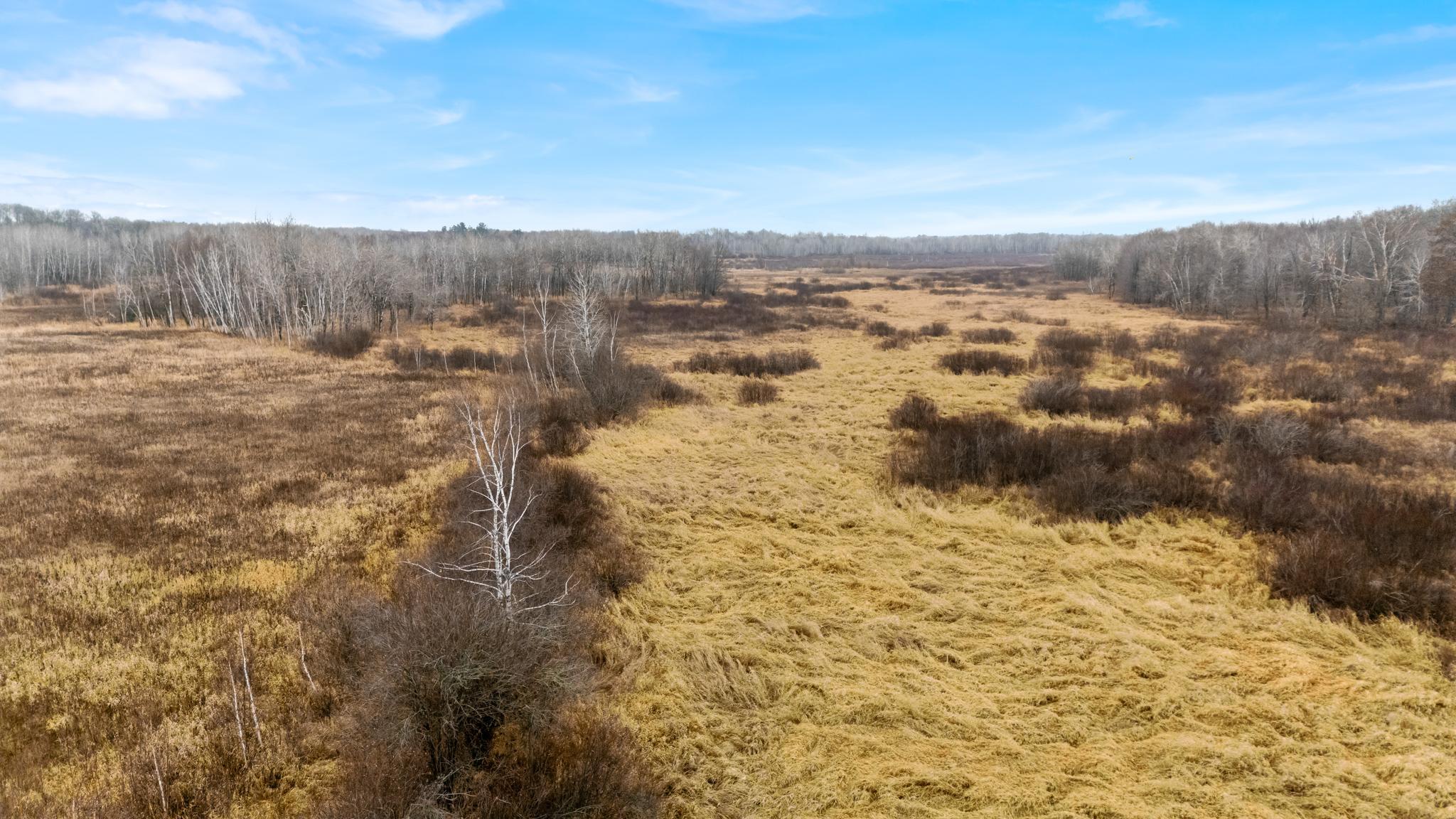Tbd Olson Road Property Photo 26
