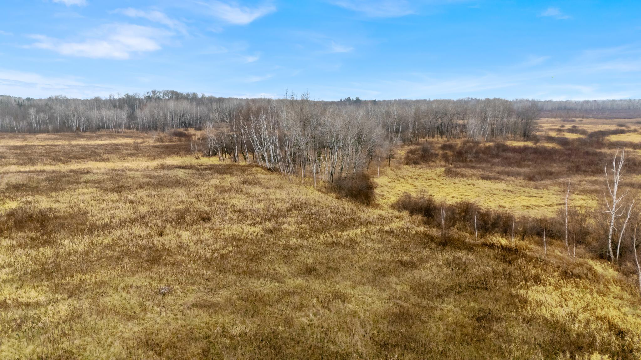 Tbd Olson Road Property Photo 27