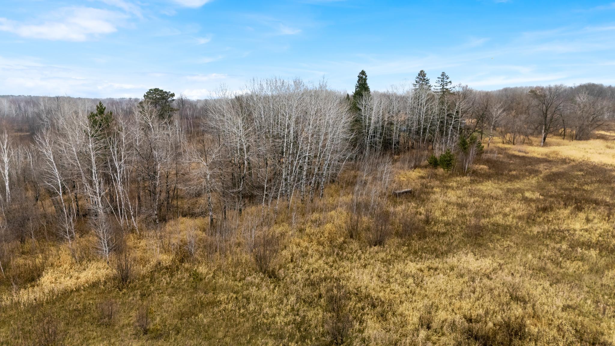 Tbd Olson Road Property Photo 28