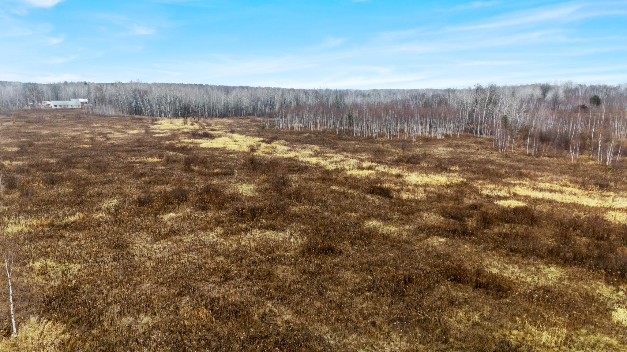 Tbd Olson Road Property Photo 29