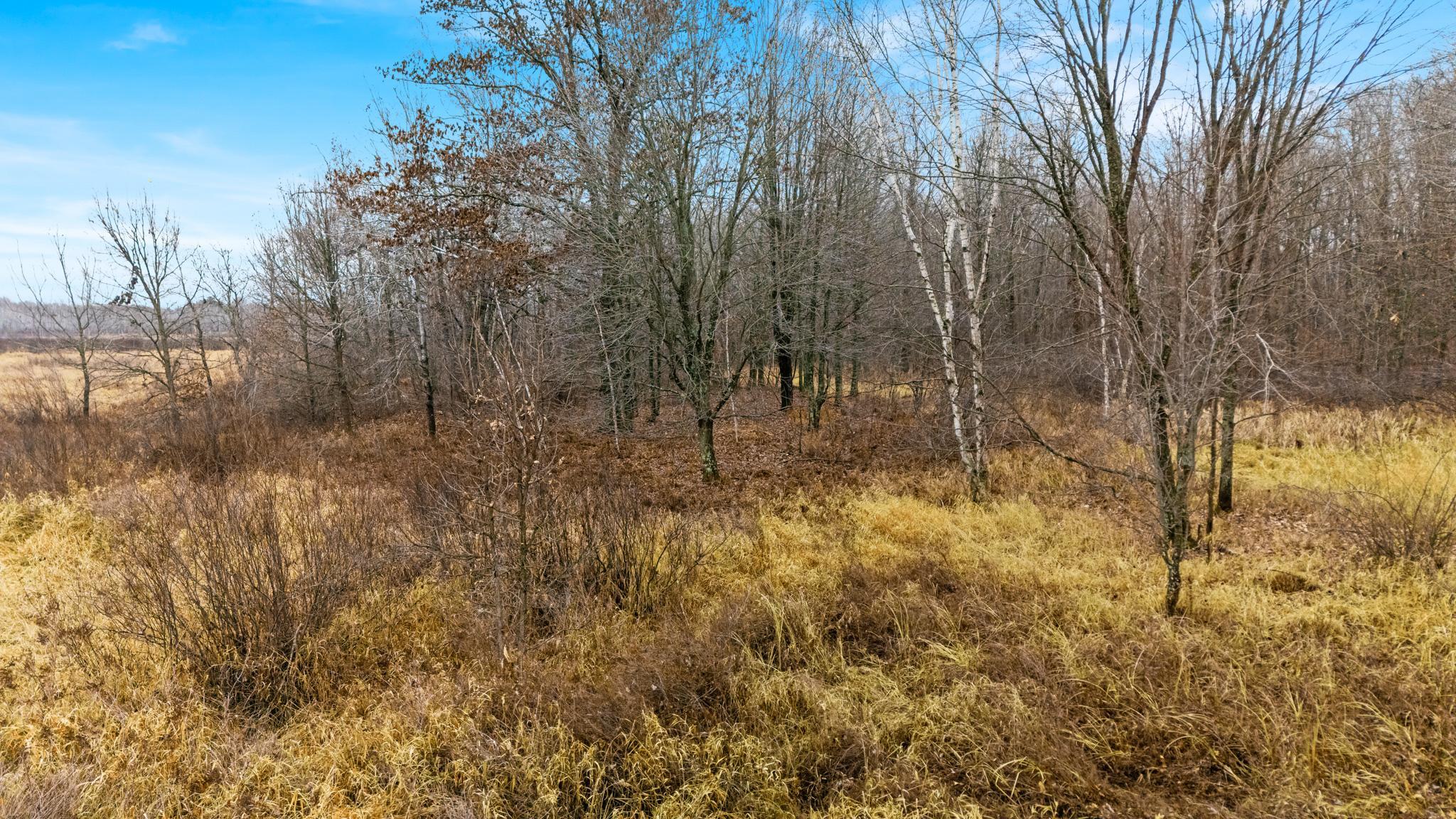 Tbd Olson Road Property Photo 31