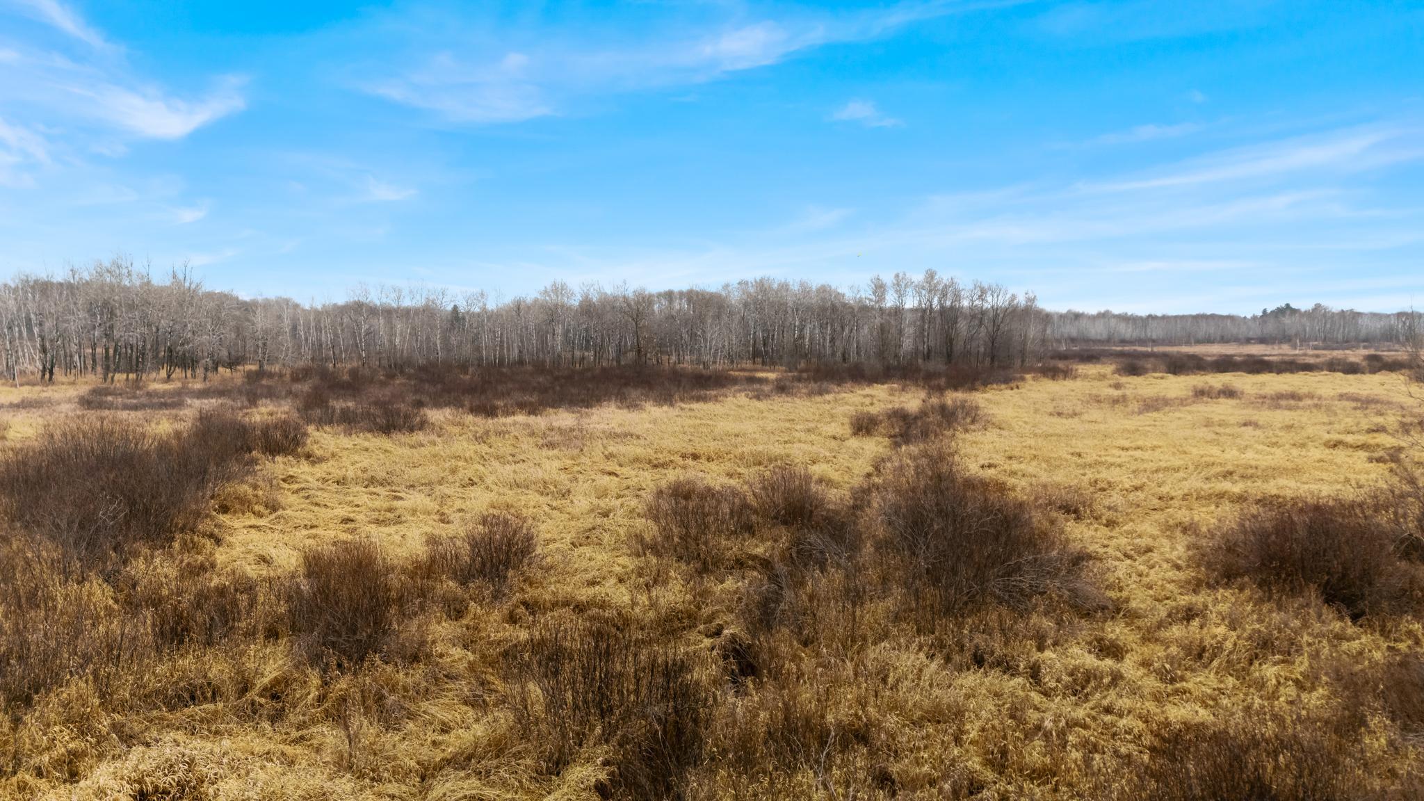 Tbd Olson Road Property Photo 32
