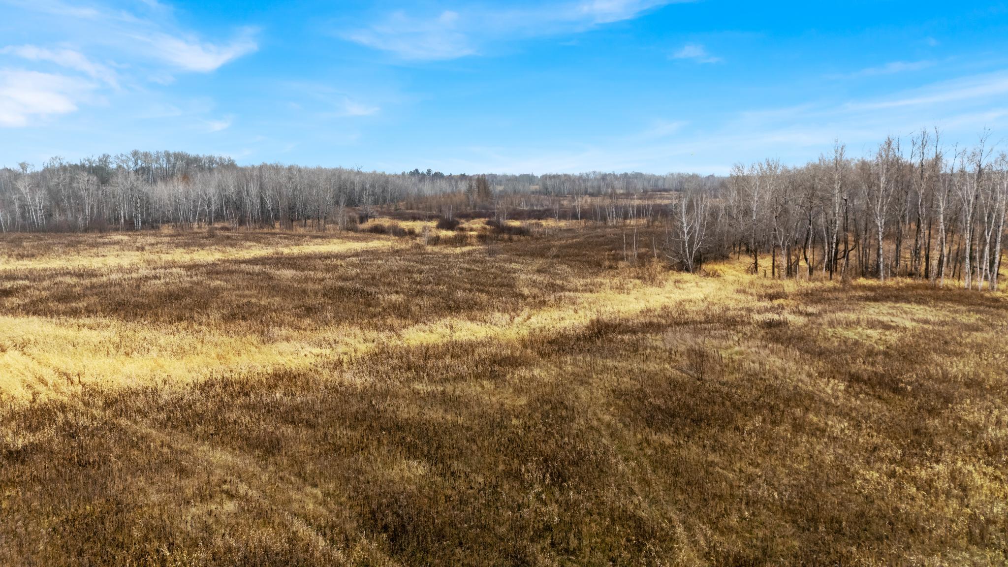 Tbd Olson Road Property Photo 34