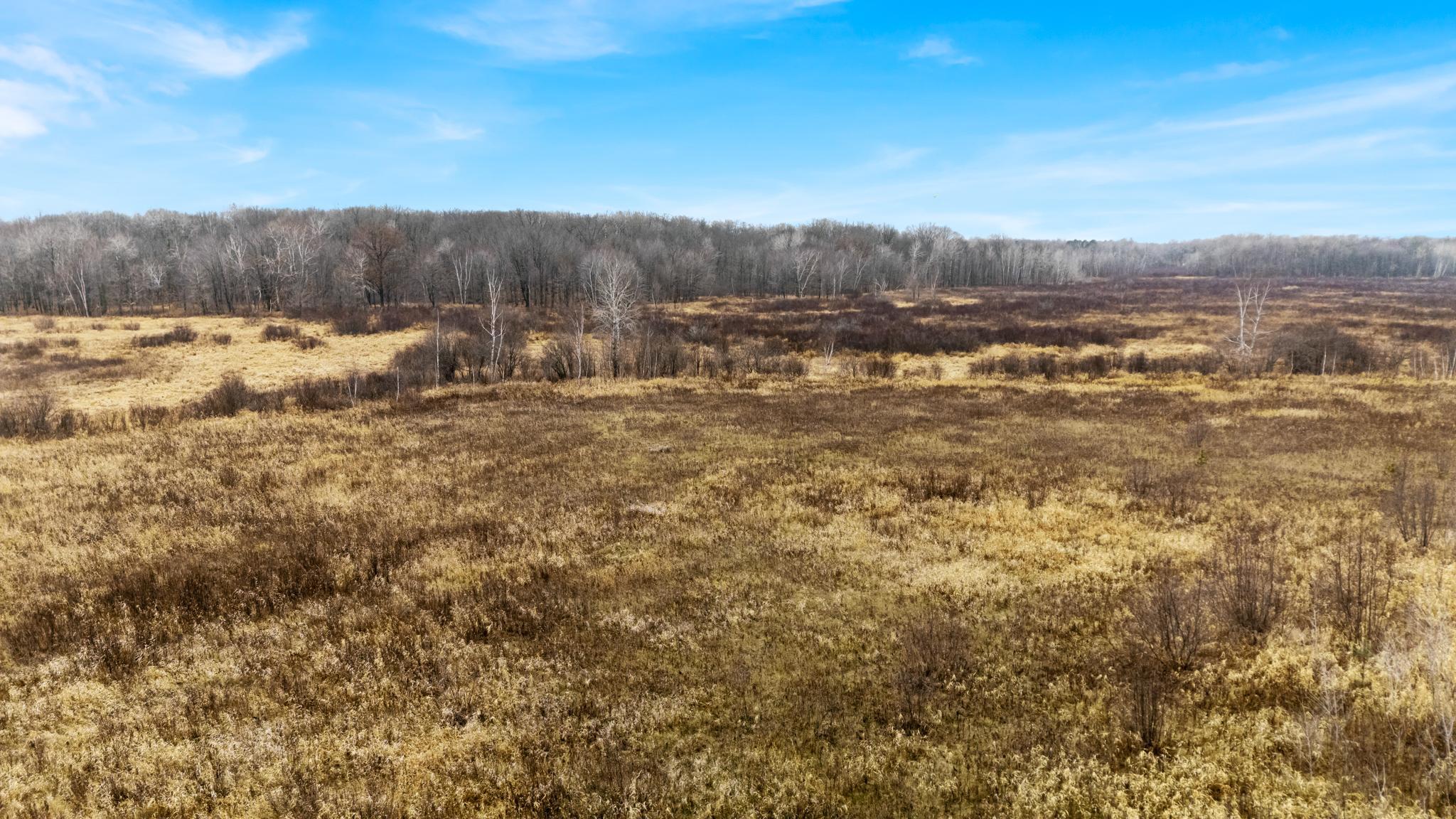 Tbd Olson Road Property Photo 35