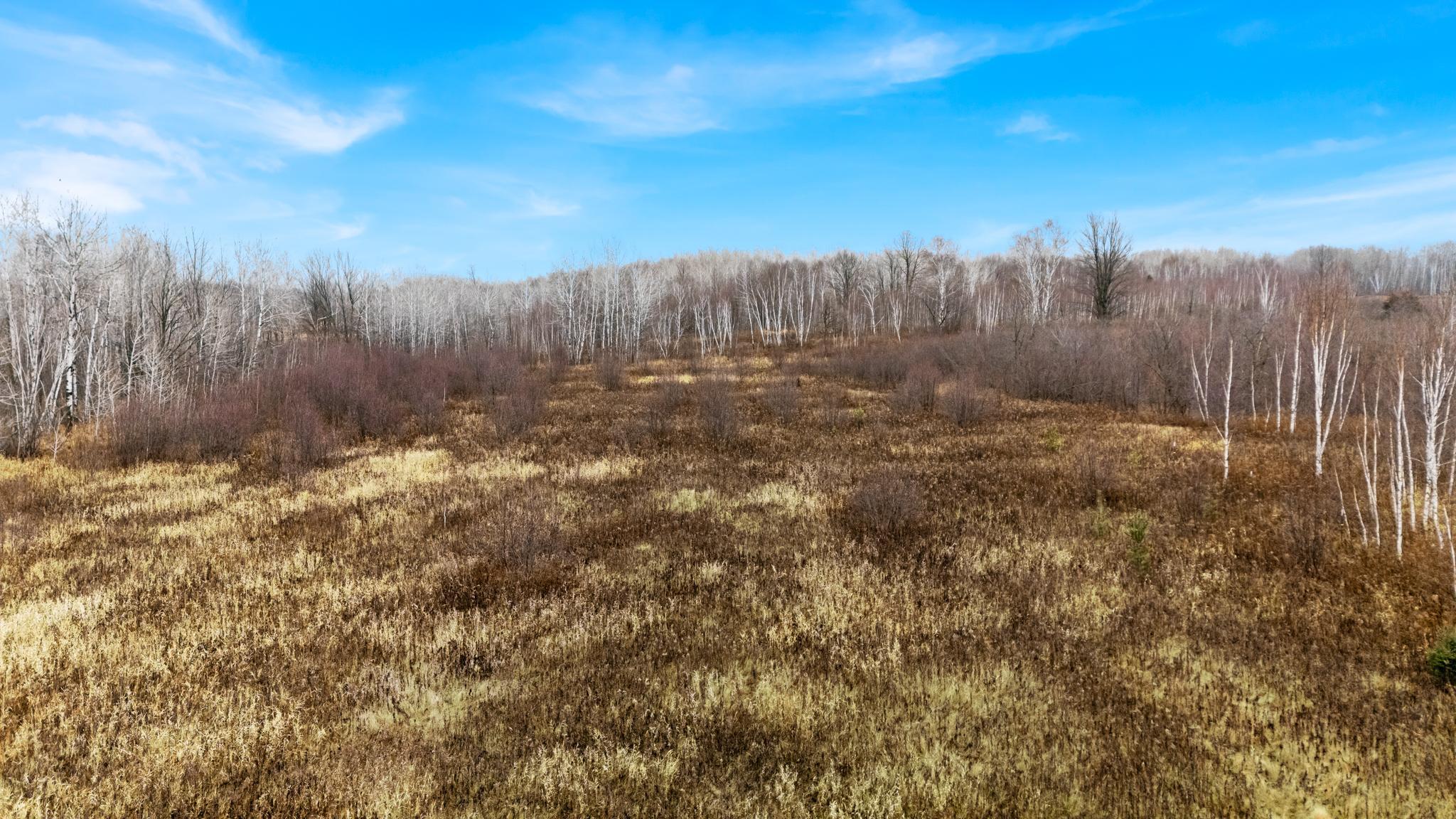 Tbd Olson Road Property Photo 37