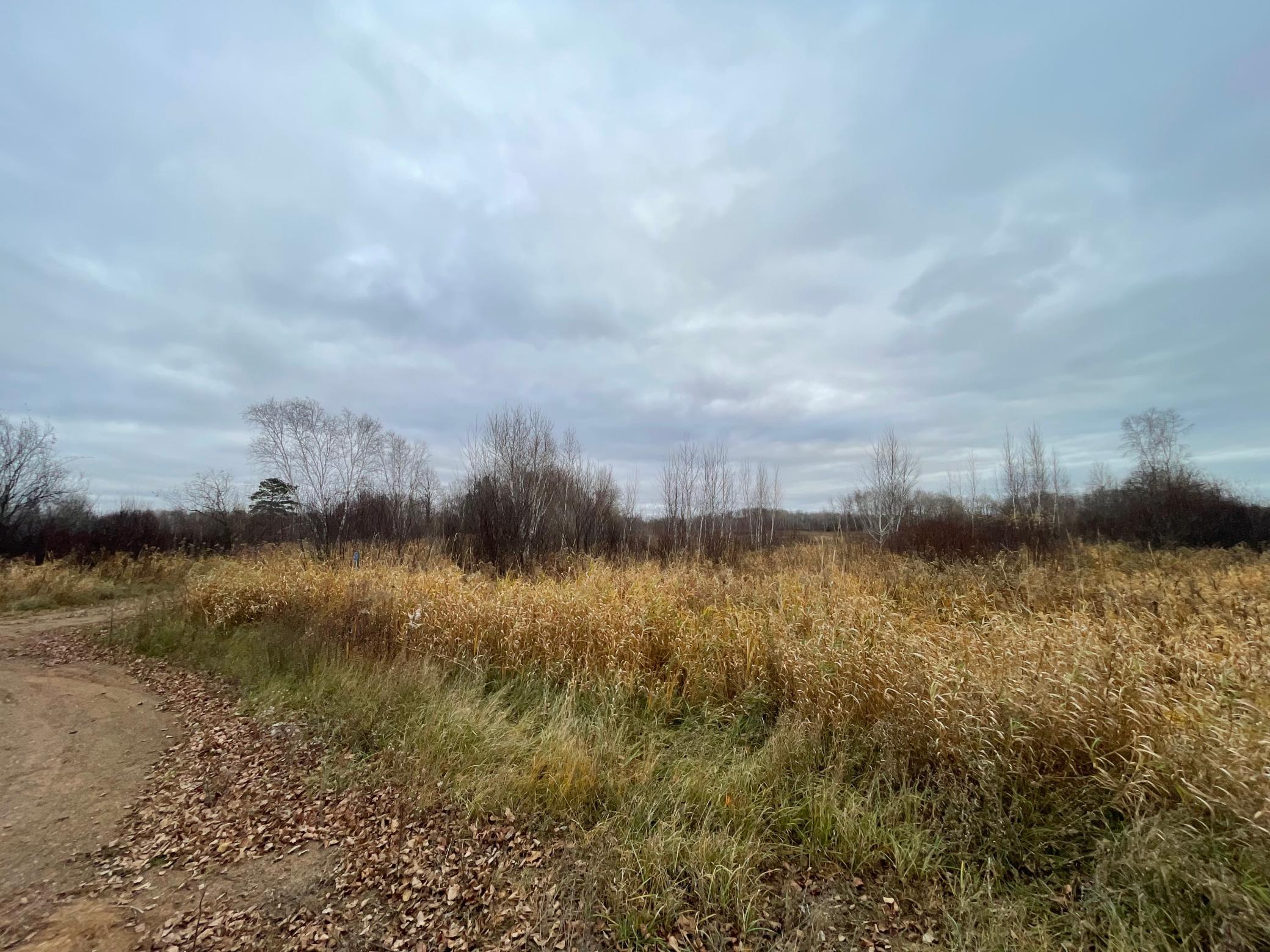 Tbd Olson Road Property Photo 38