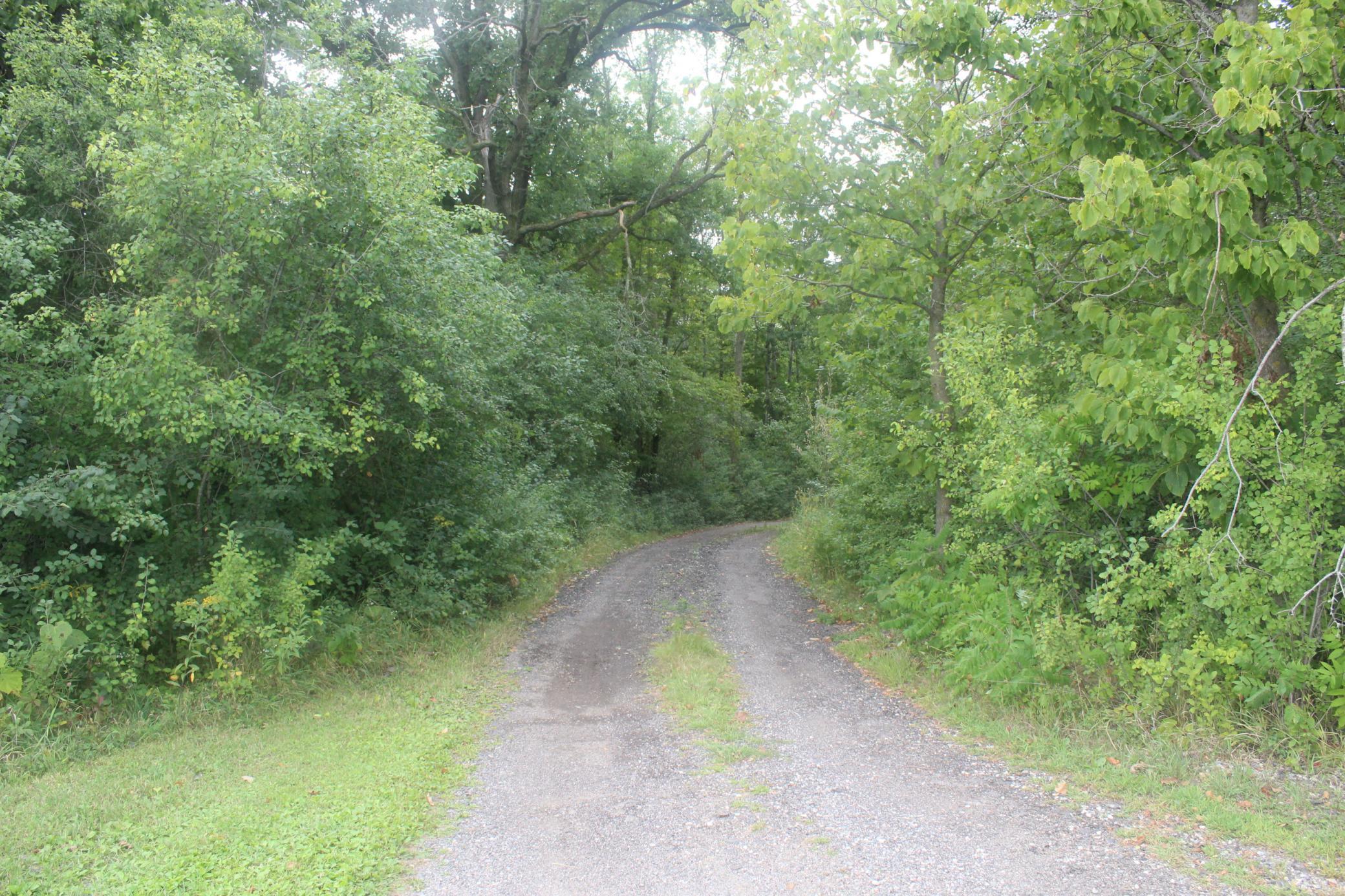 14496 Green Meadow Road Property Photo 16