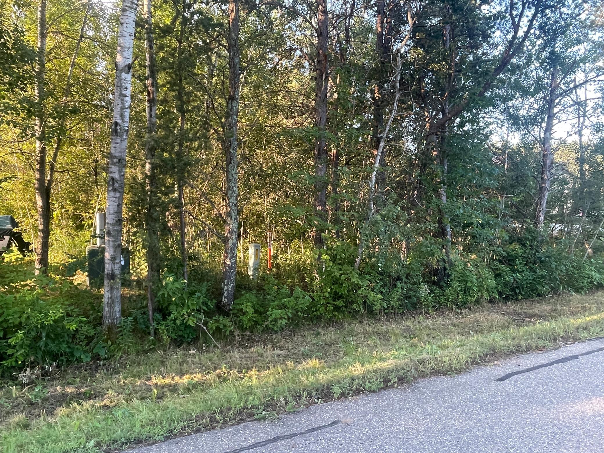Tbd Crow Wing Circle Sw Property Photo 4