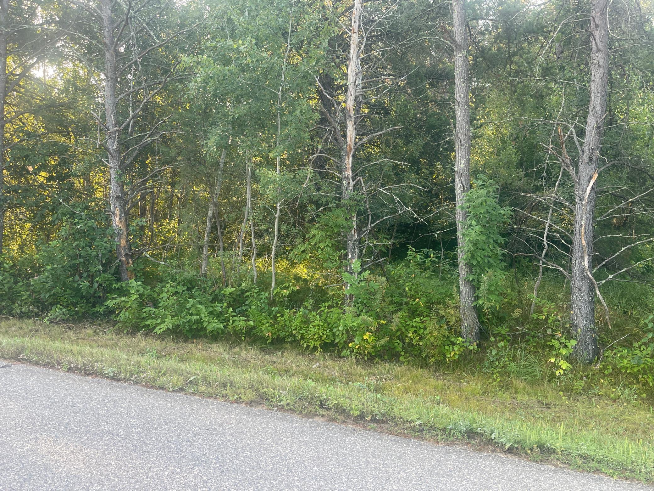 Tbd Crow Wing Circle Sw Property Photo 6