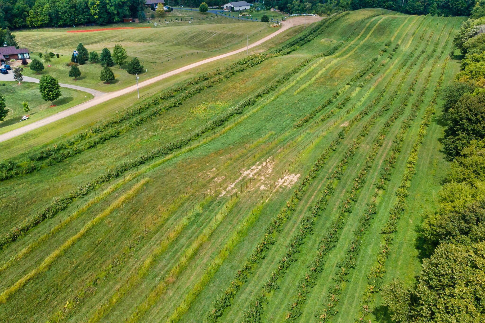 17222 Deerwood Lane Property Photo 34