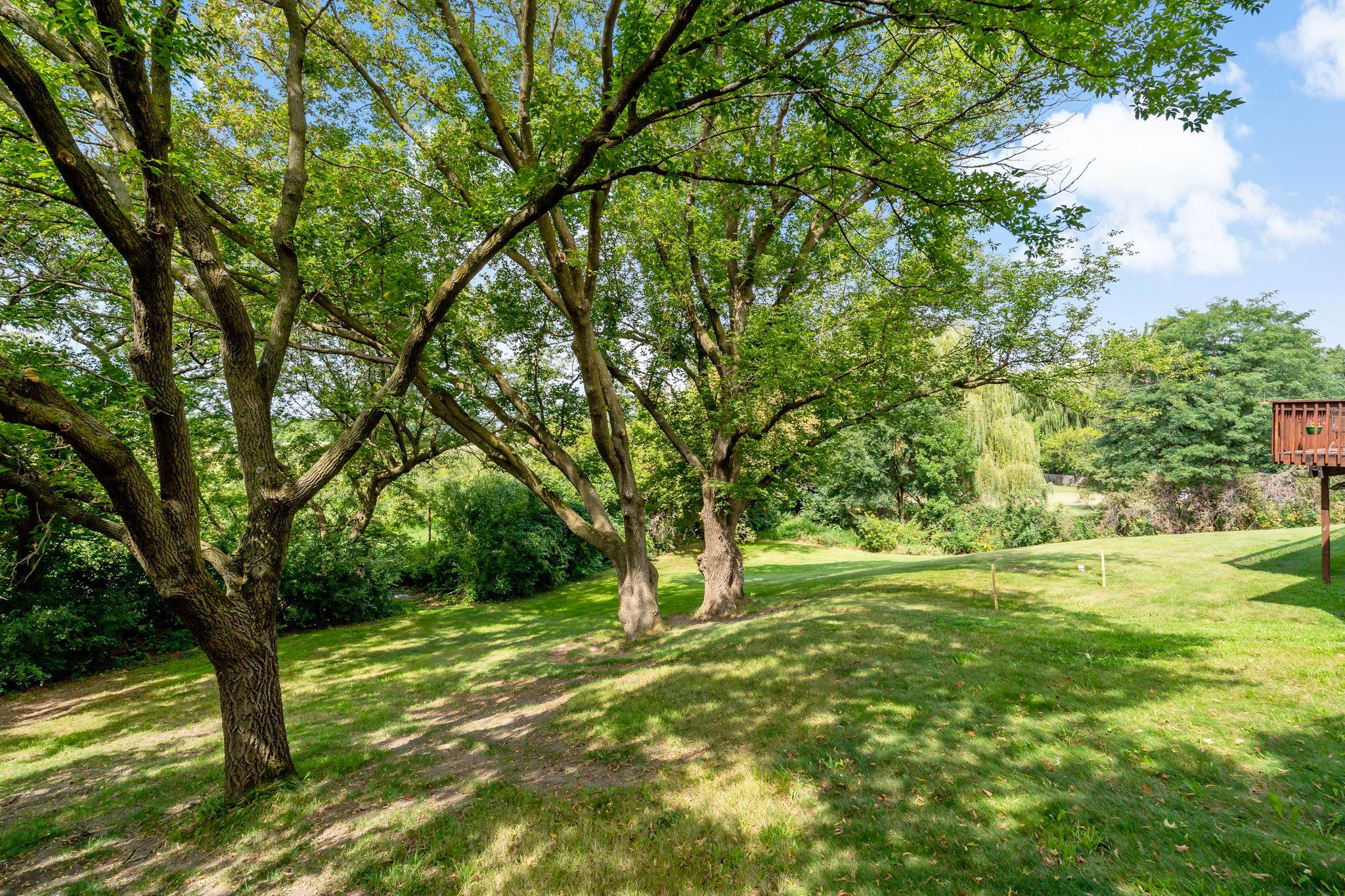 17222 Deerwood Lane Property Photo 48