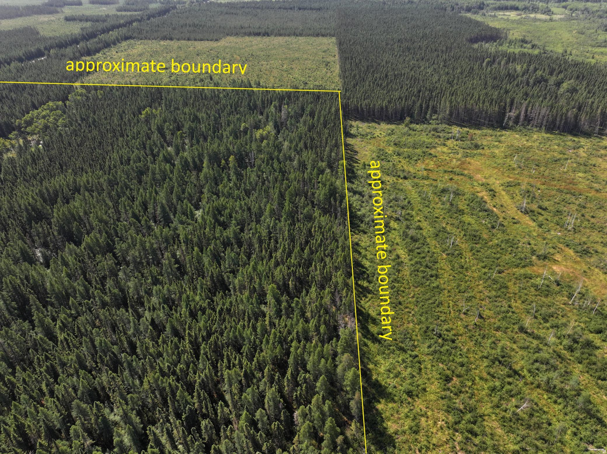 11161 Highway 65 Property Photo 20