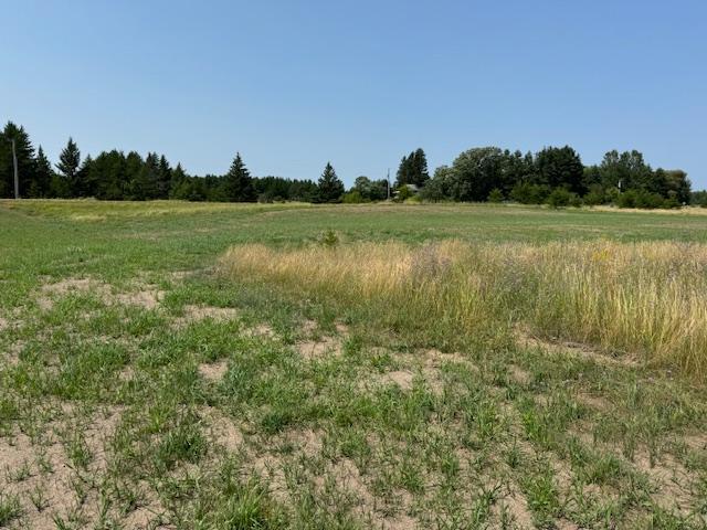 Tbd Buchanan Avenue Sw Property Photo 1