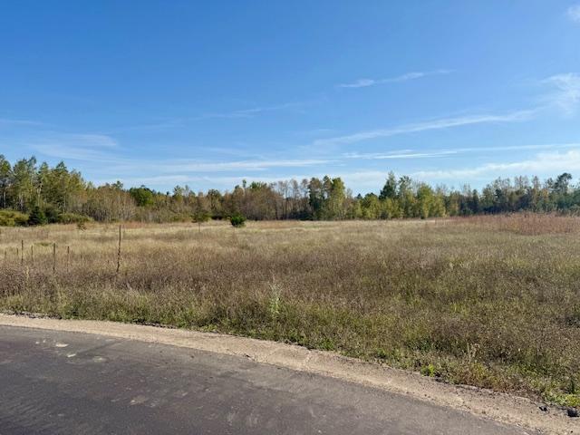 Lot 10 Prairie View Court SW Property Photo 1