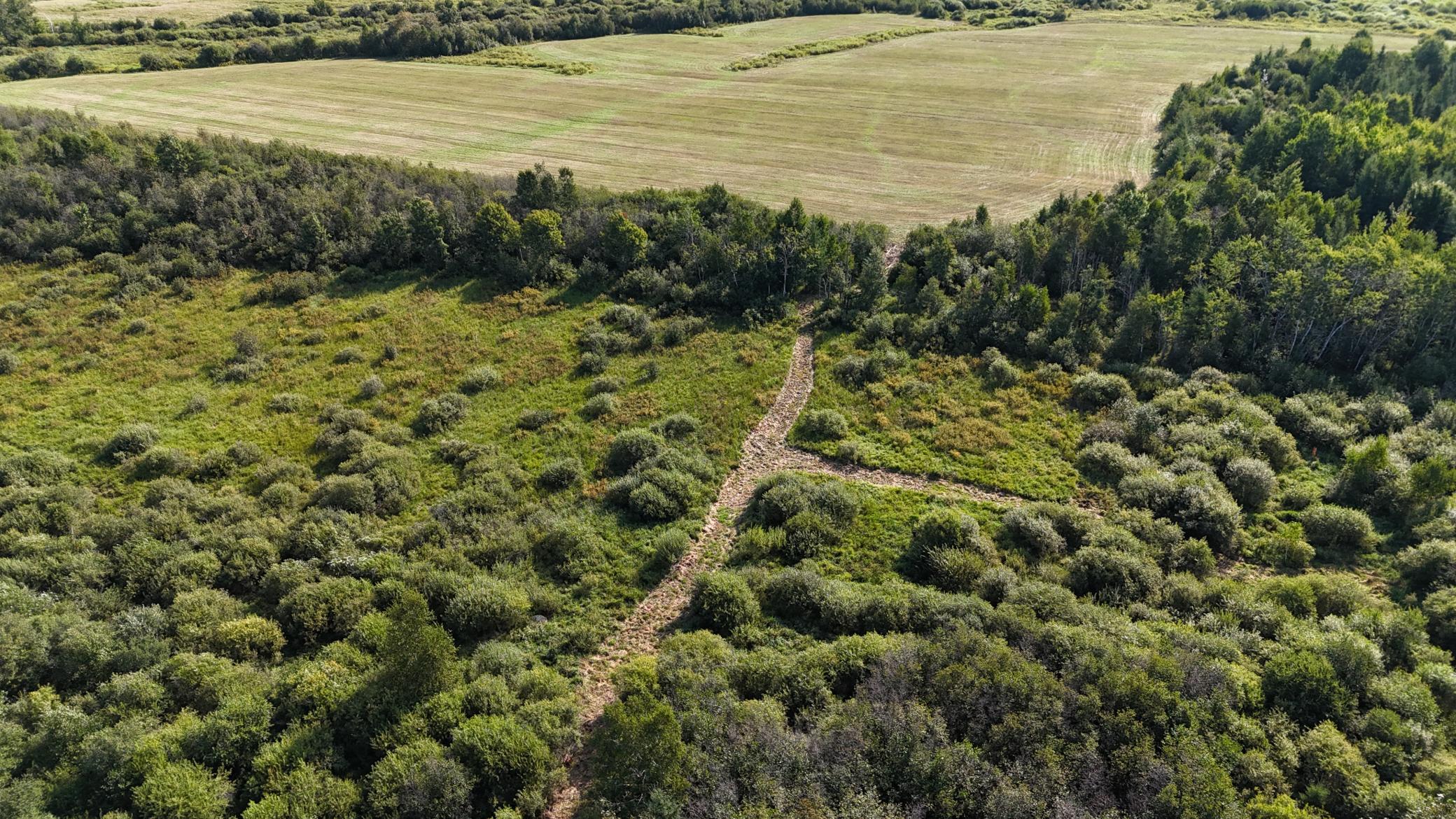 Tbd Kingsley Road Property Photo 5